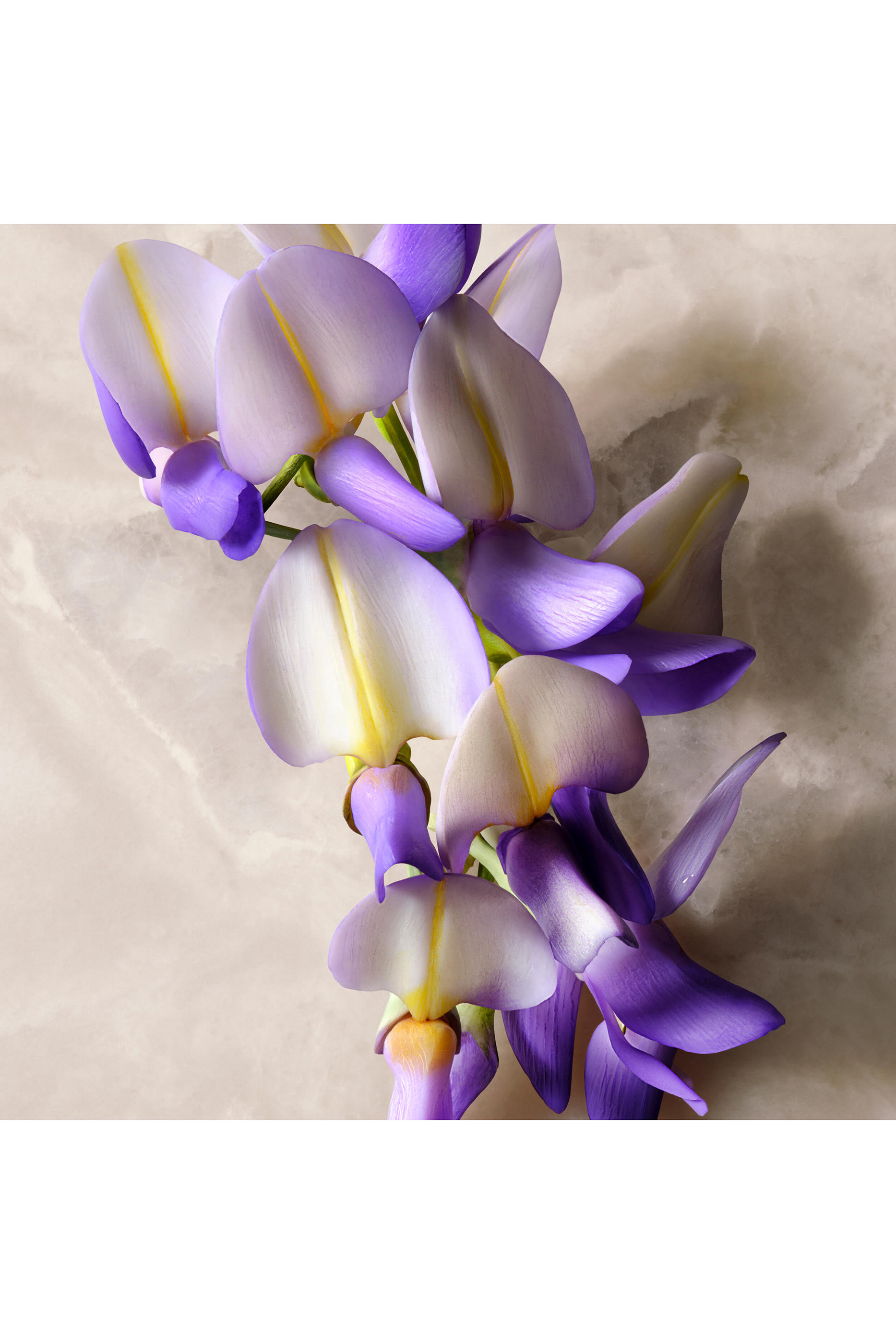 Guilty Eau de Parfum