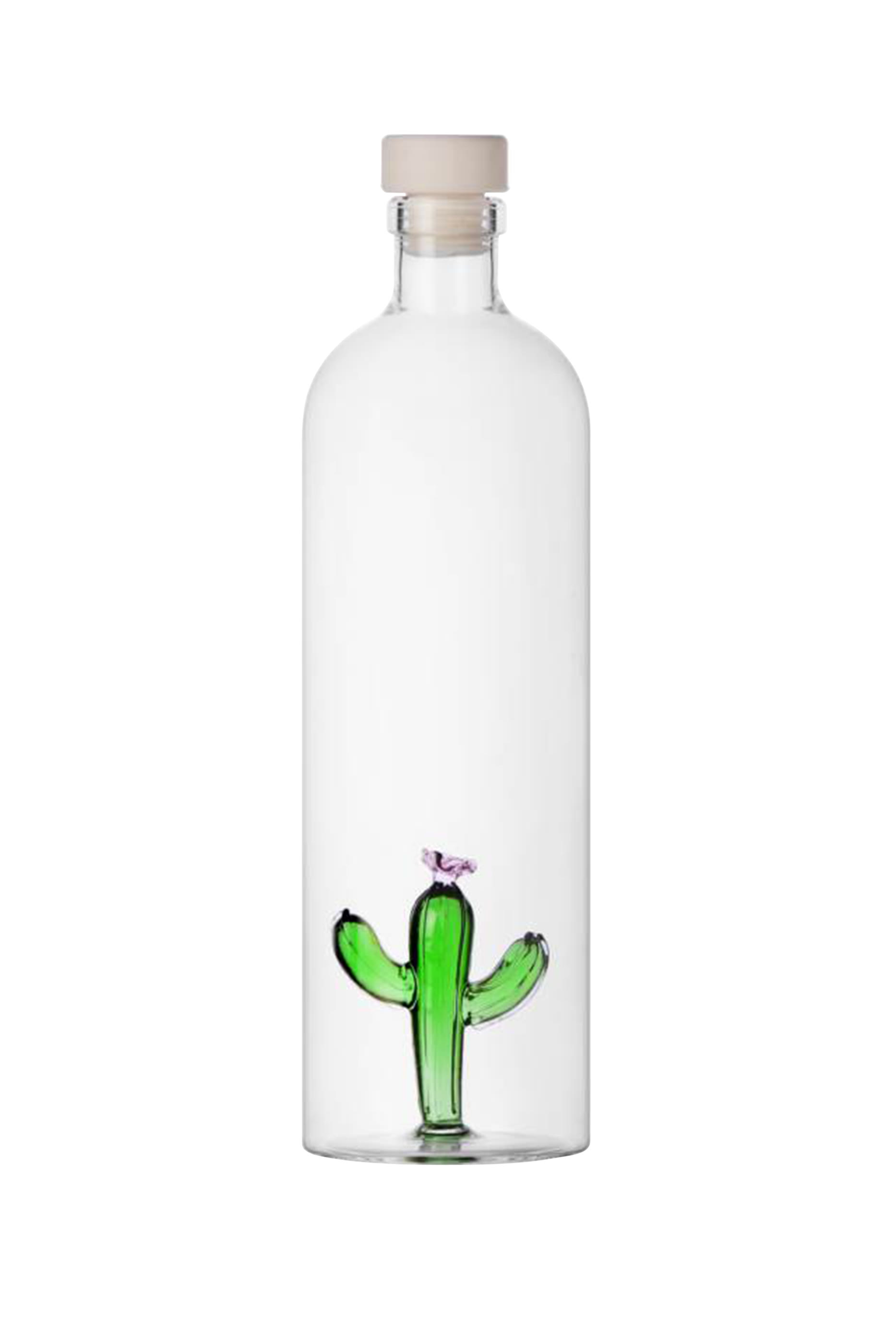 Green Cactus Bottle with Lid
