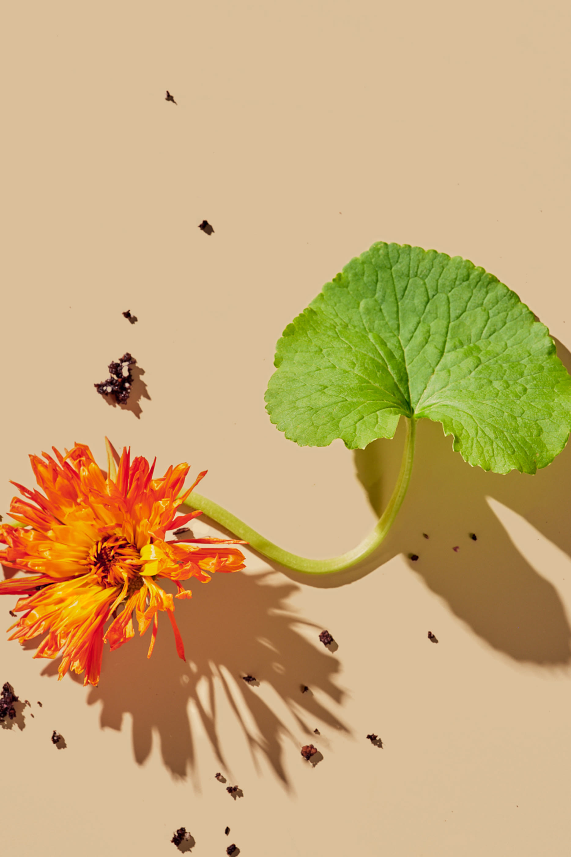 Superkind Refining Cleanser