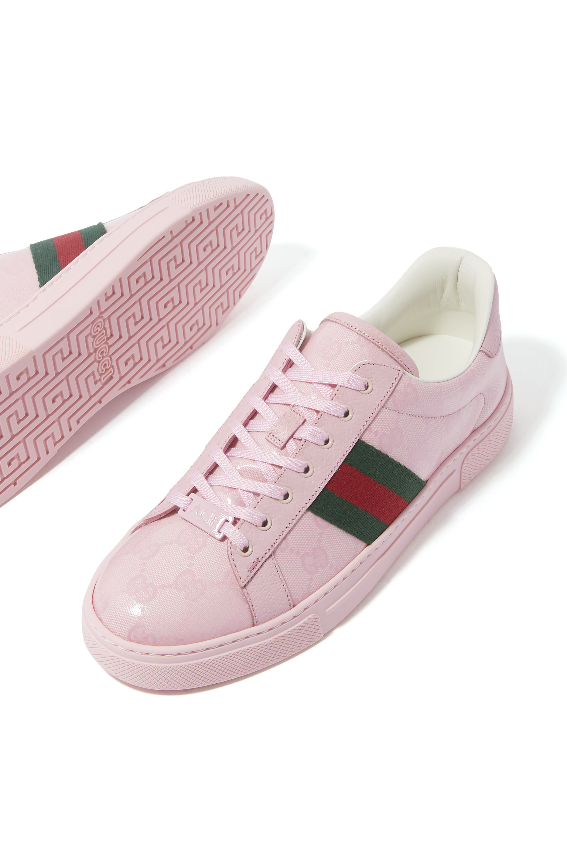 Ace Web Canvas Sneakers