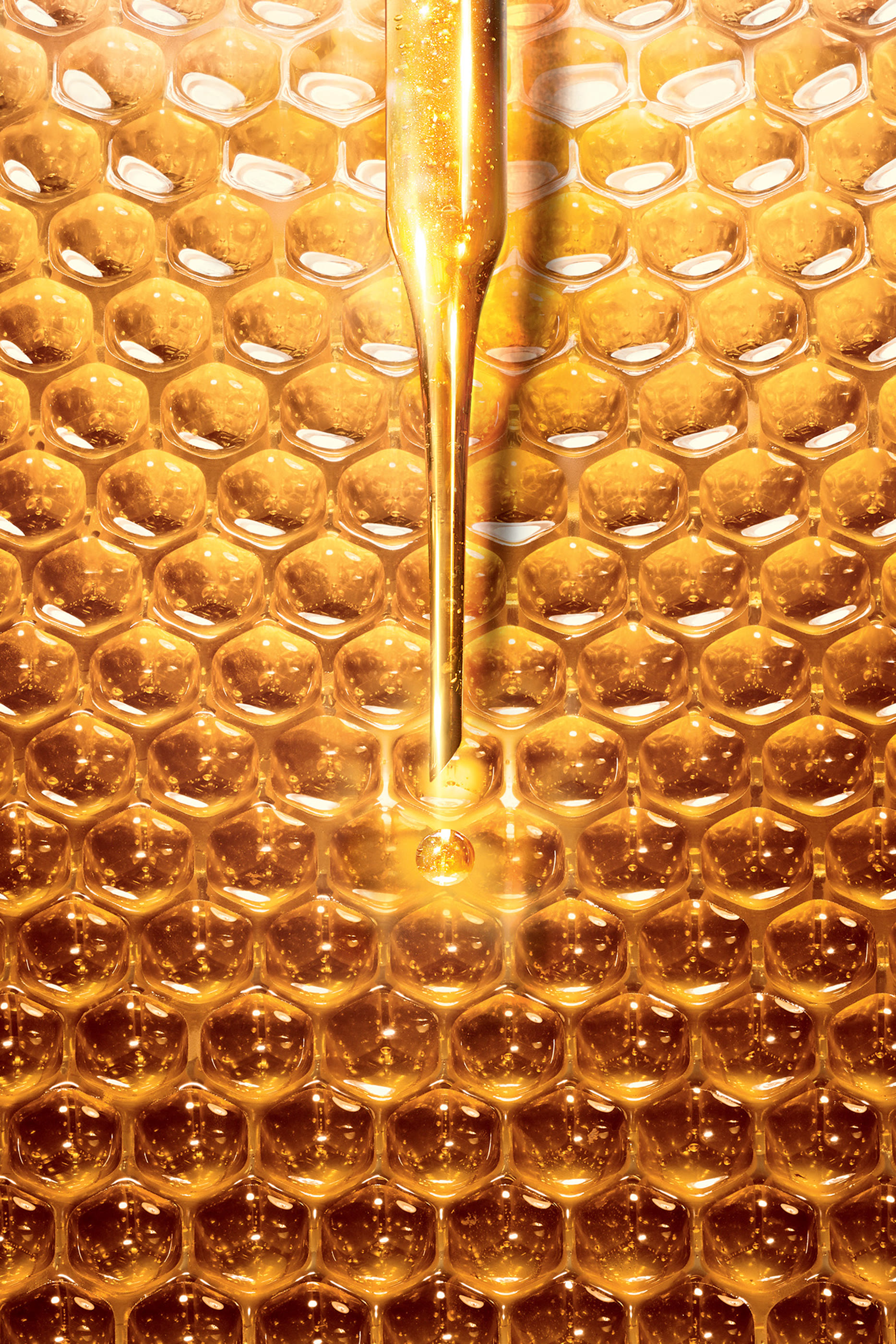 Abeille Royale Rich Day Cream