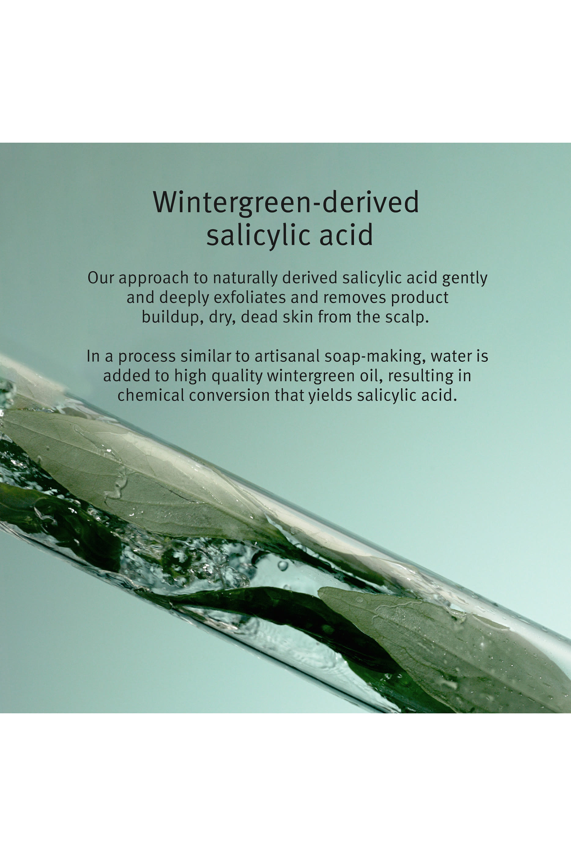 Scalp Solutions Exfoliating Scalp Treatment