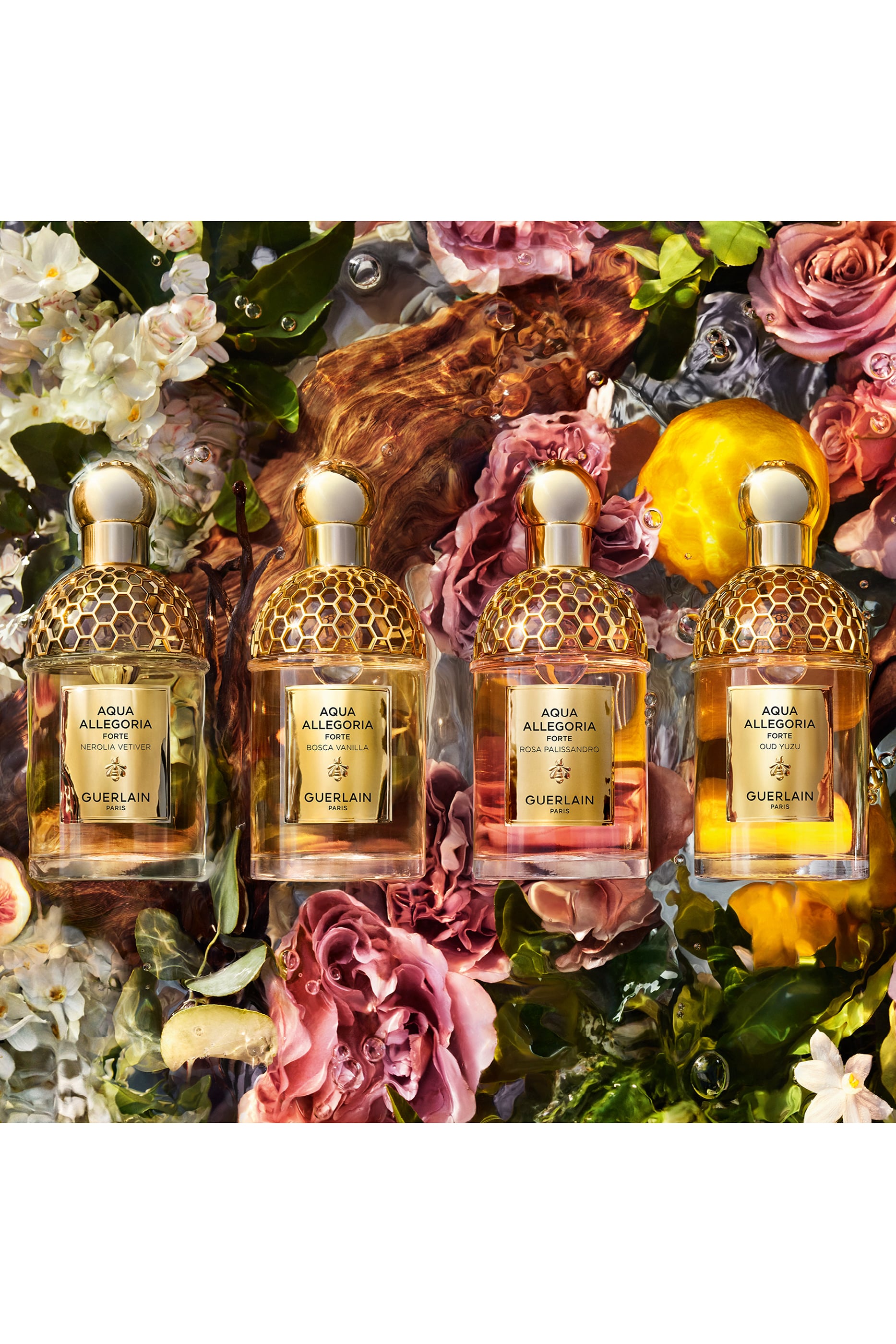 Aqua Allegoria Forte Rosa Palissandro Eau de Parfum