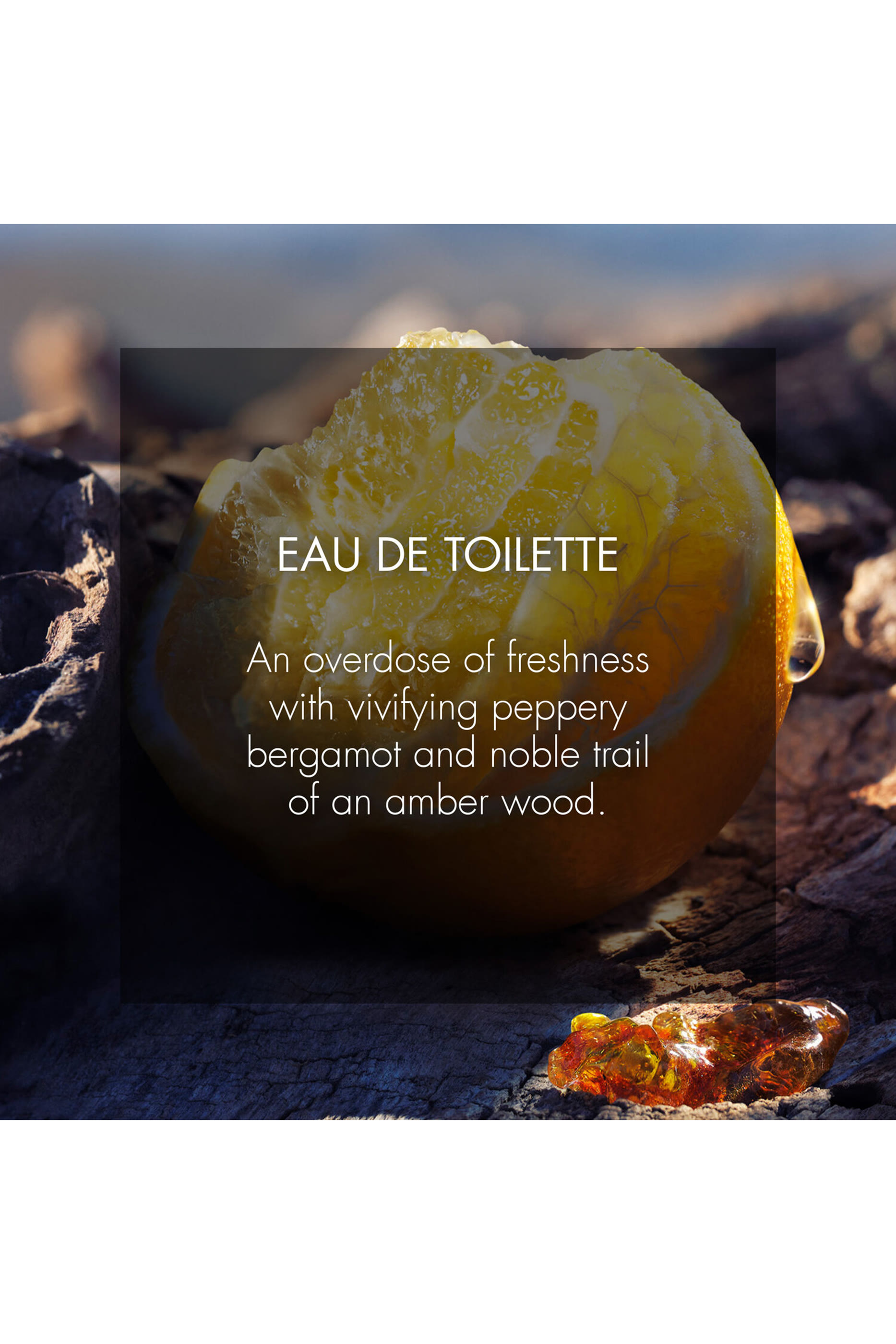 Sauvage Eau de Toilette