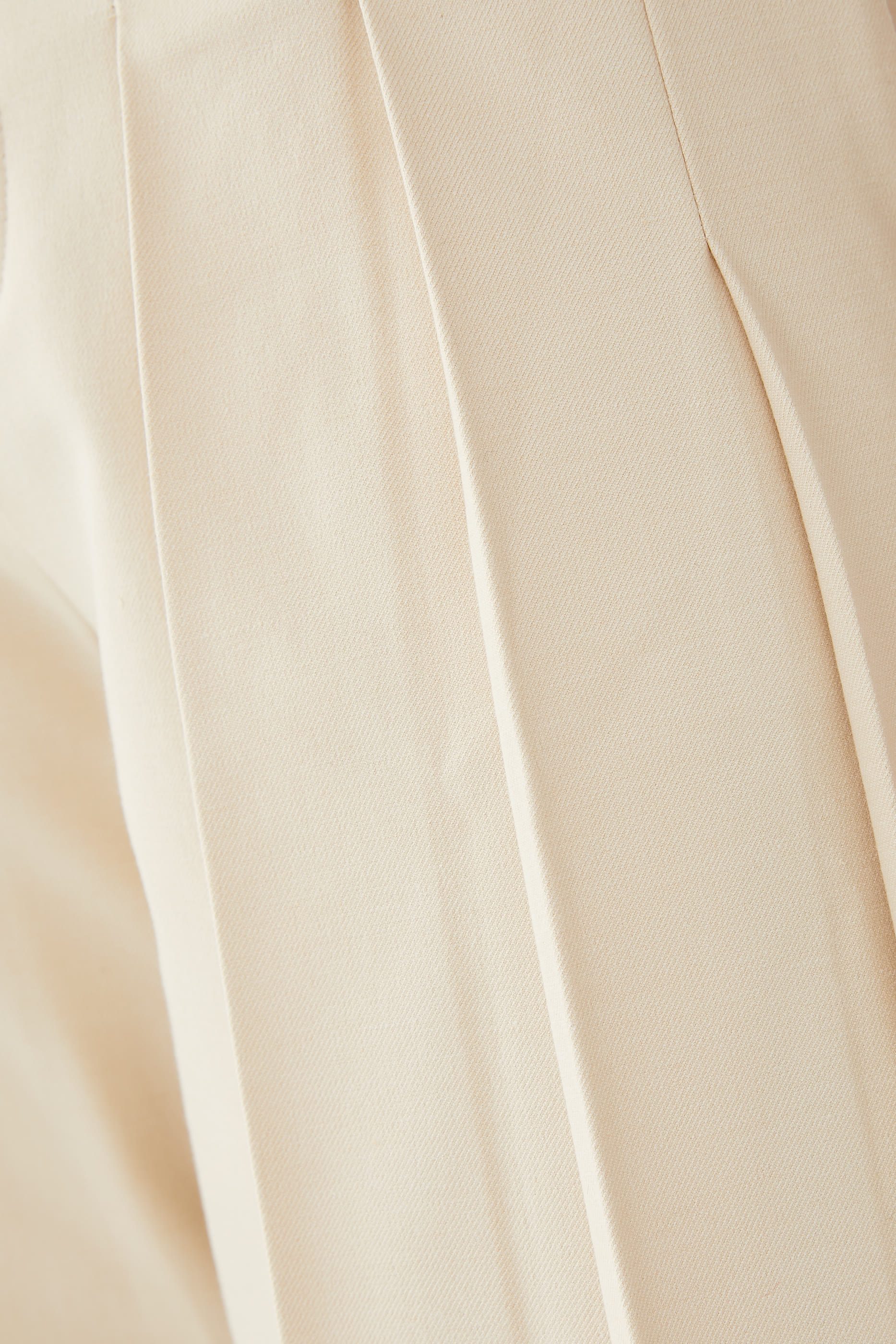 Simon High Rise Wide Leg Pleated Pants