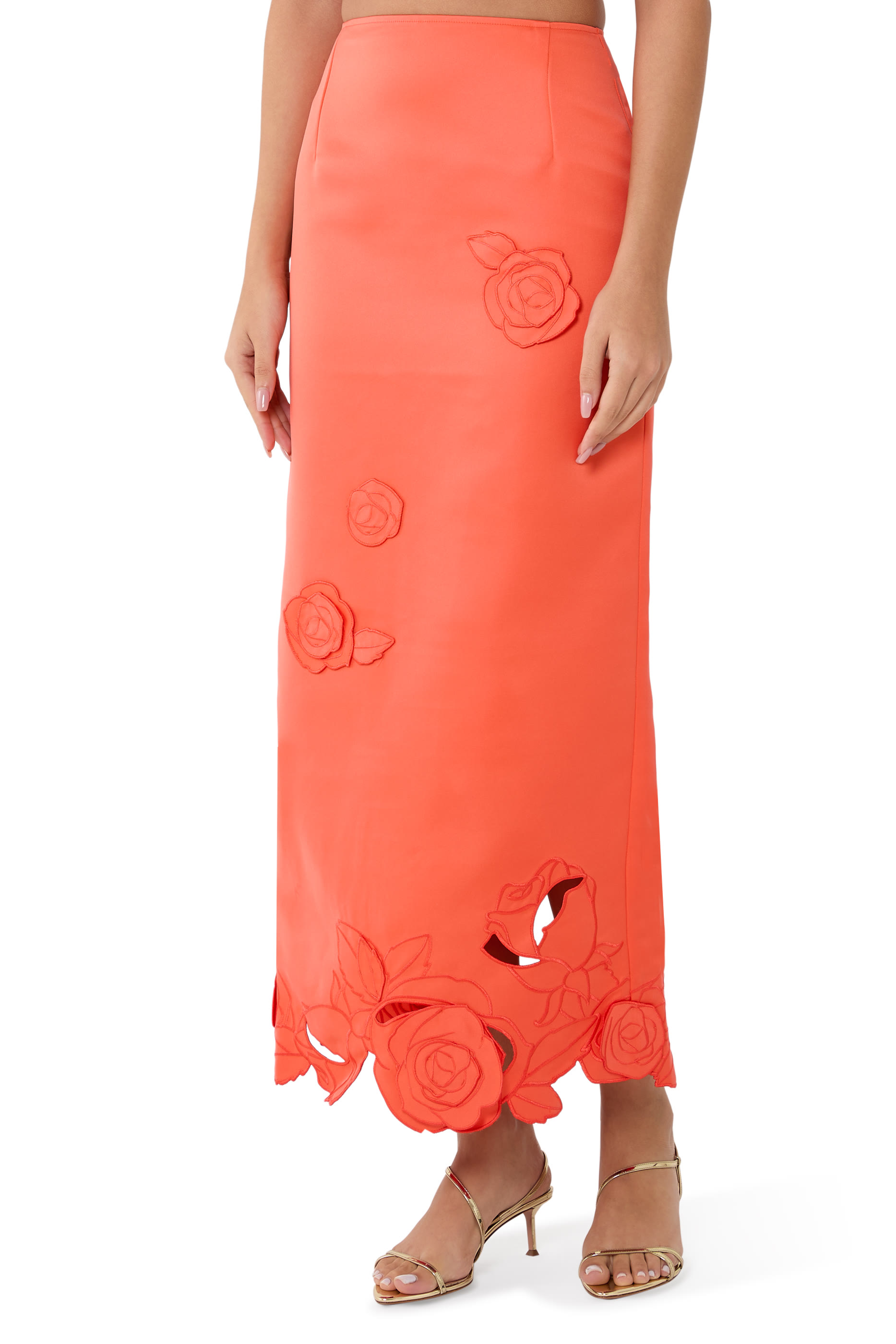 Kyra Appliqué Maxi Skirt