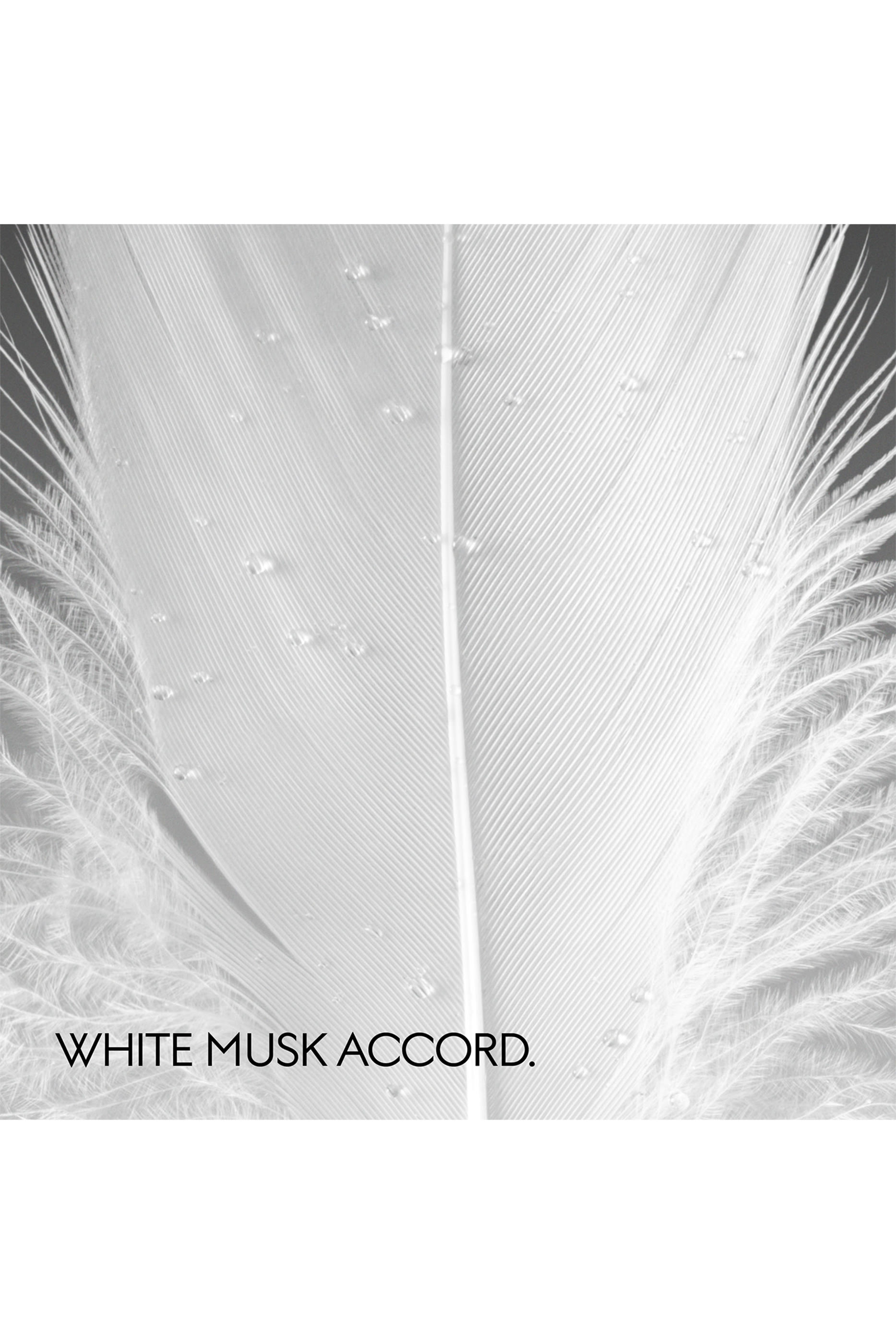 The Alchemist’s Garden, Muschio Di Luce Eau de Parfum