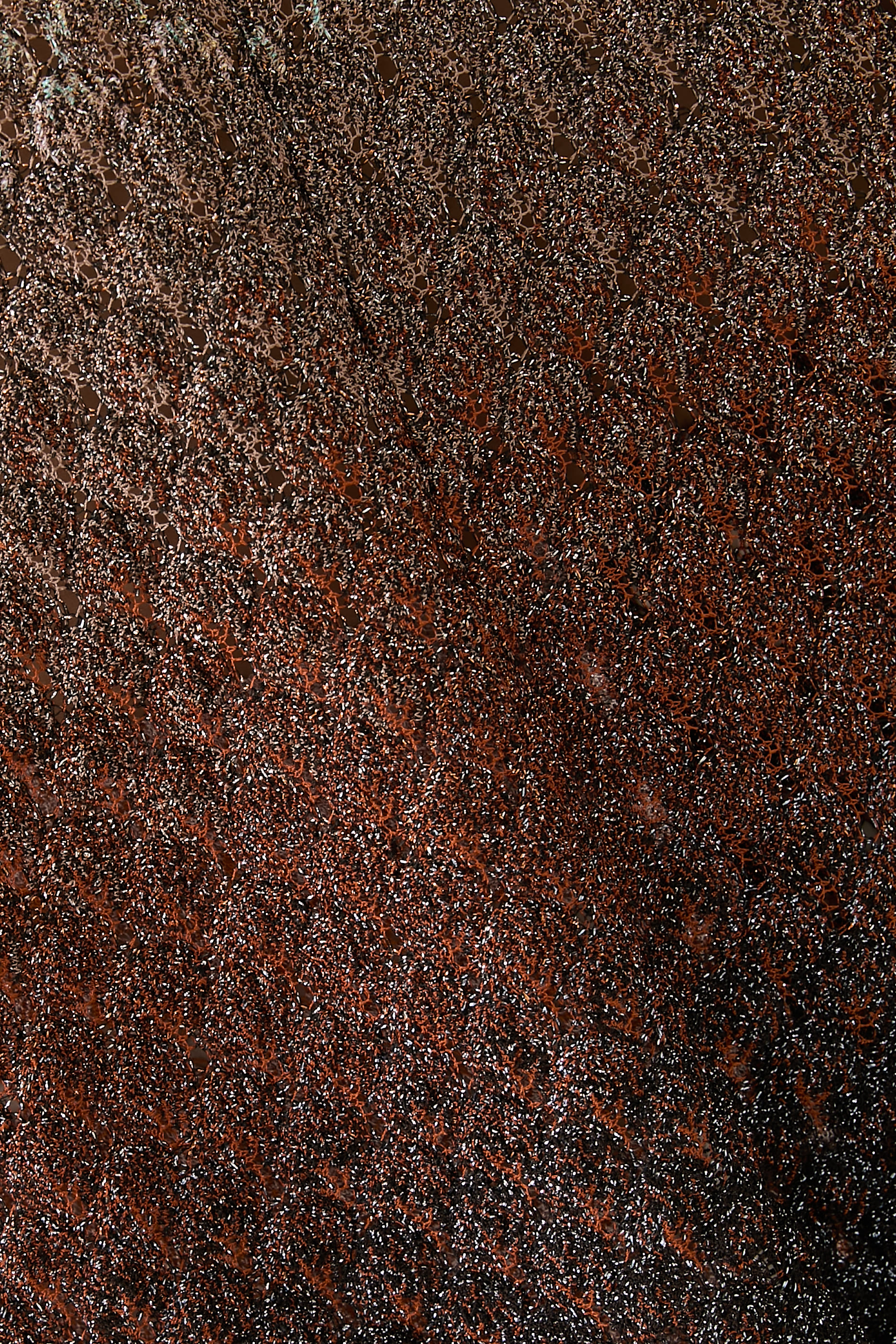 Ombre Degrade Lace Top