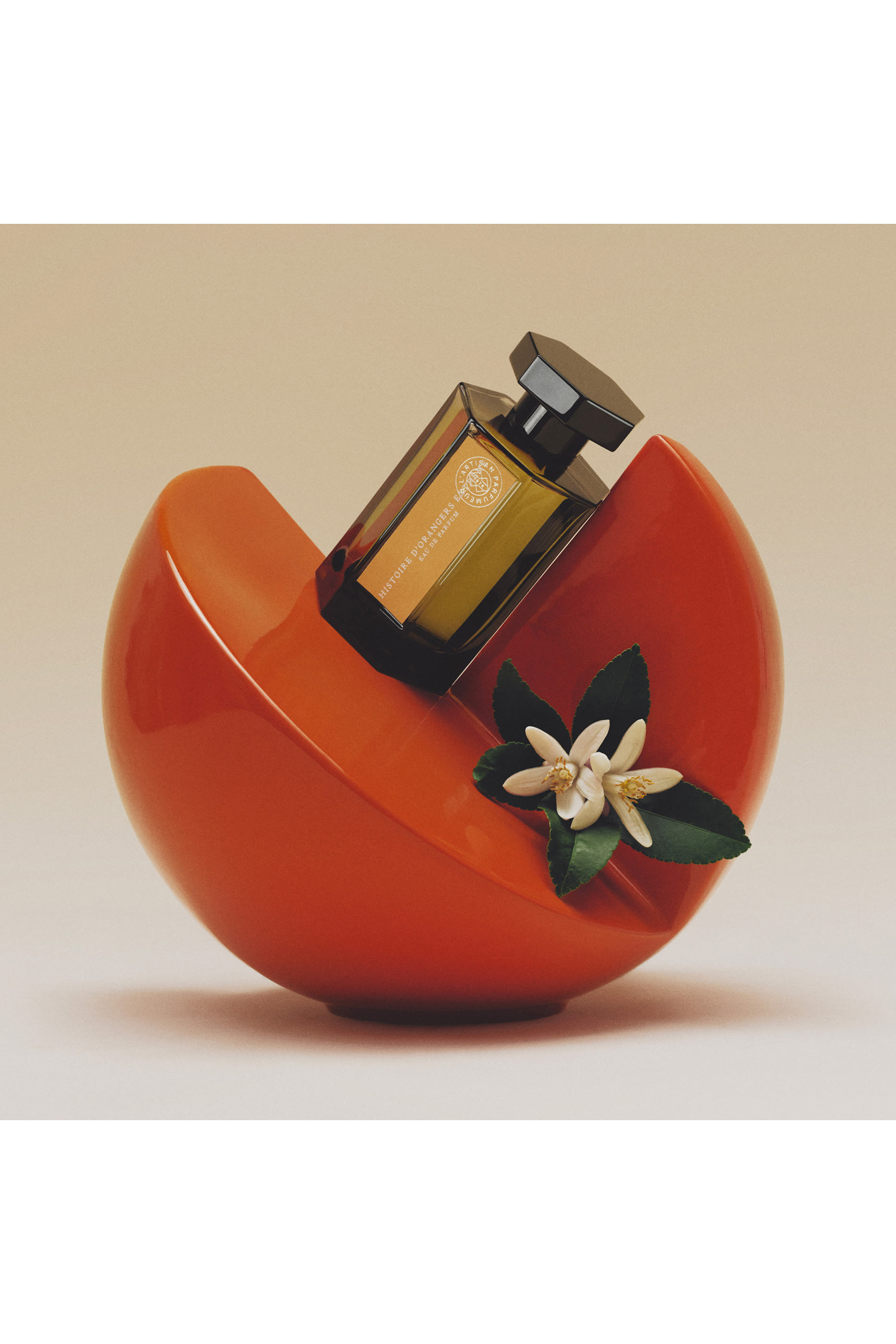 Histoire d'Orangers Extrême