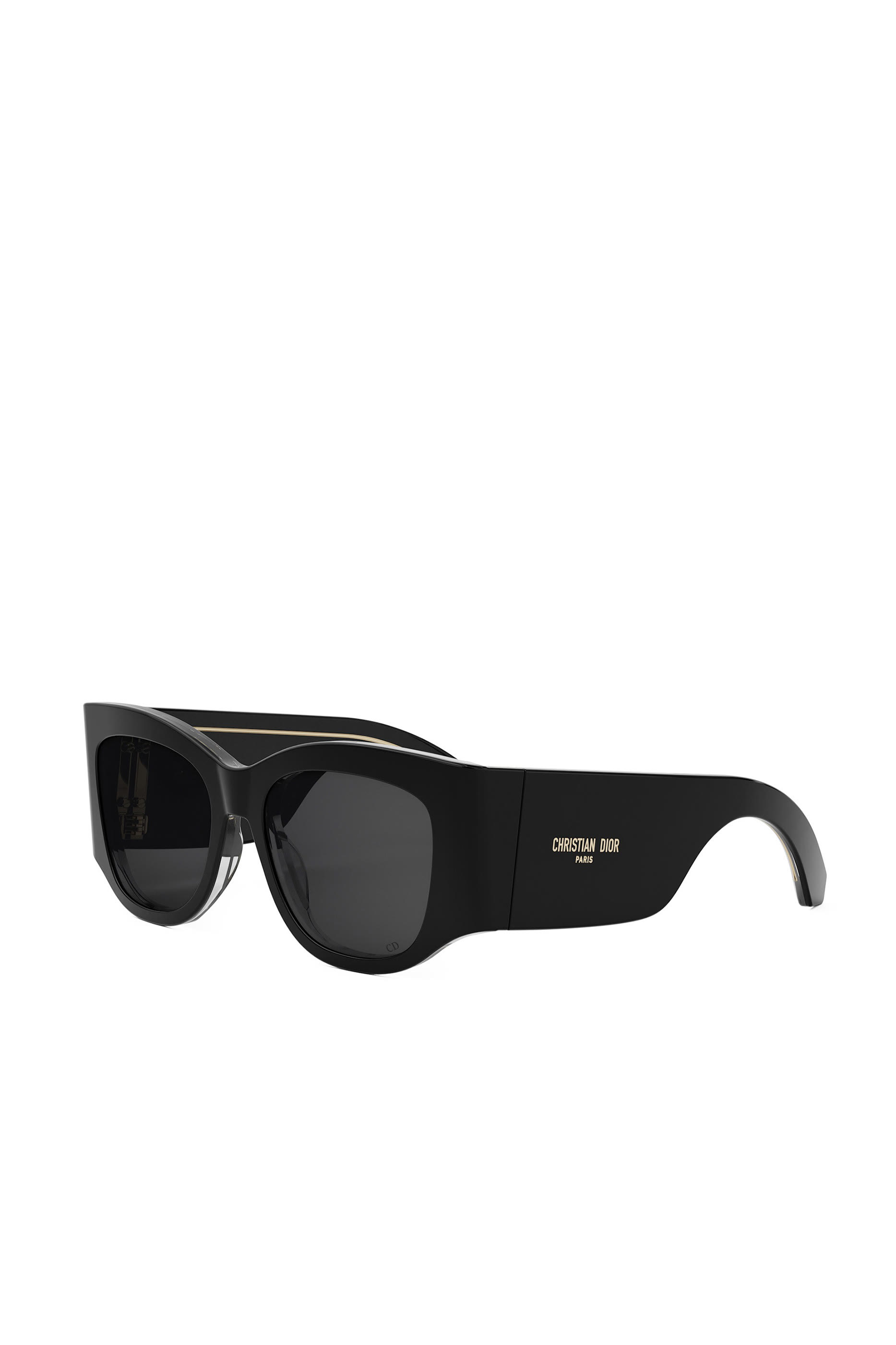 DiorNuit S1I Black Square Sunglasses