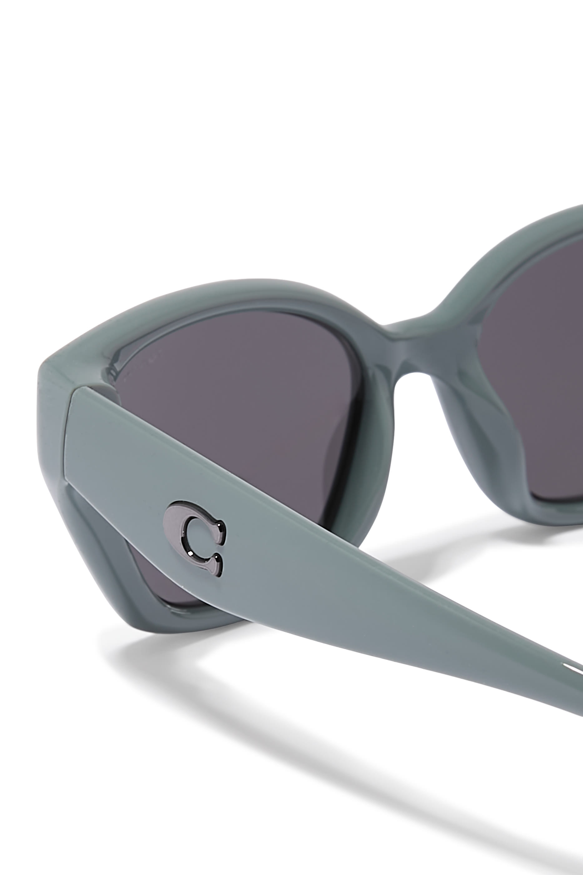 Irreg Frame Sculpted C Logo Temple Sunglasses