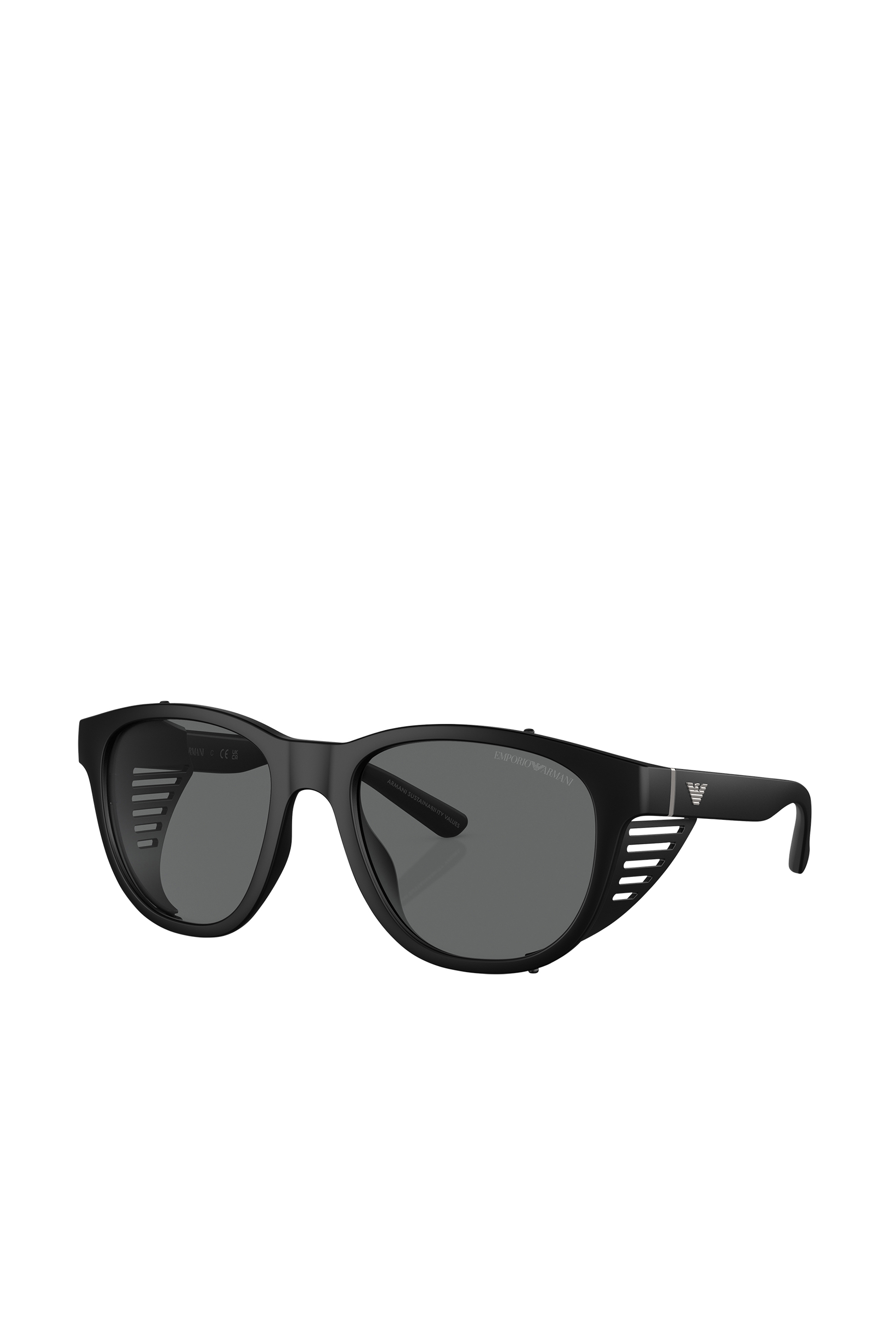 D-Frame Sunglasses With Interchangeable Temples