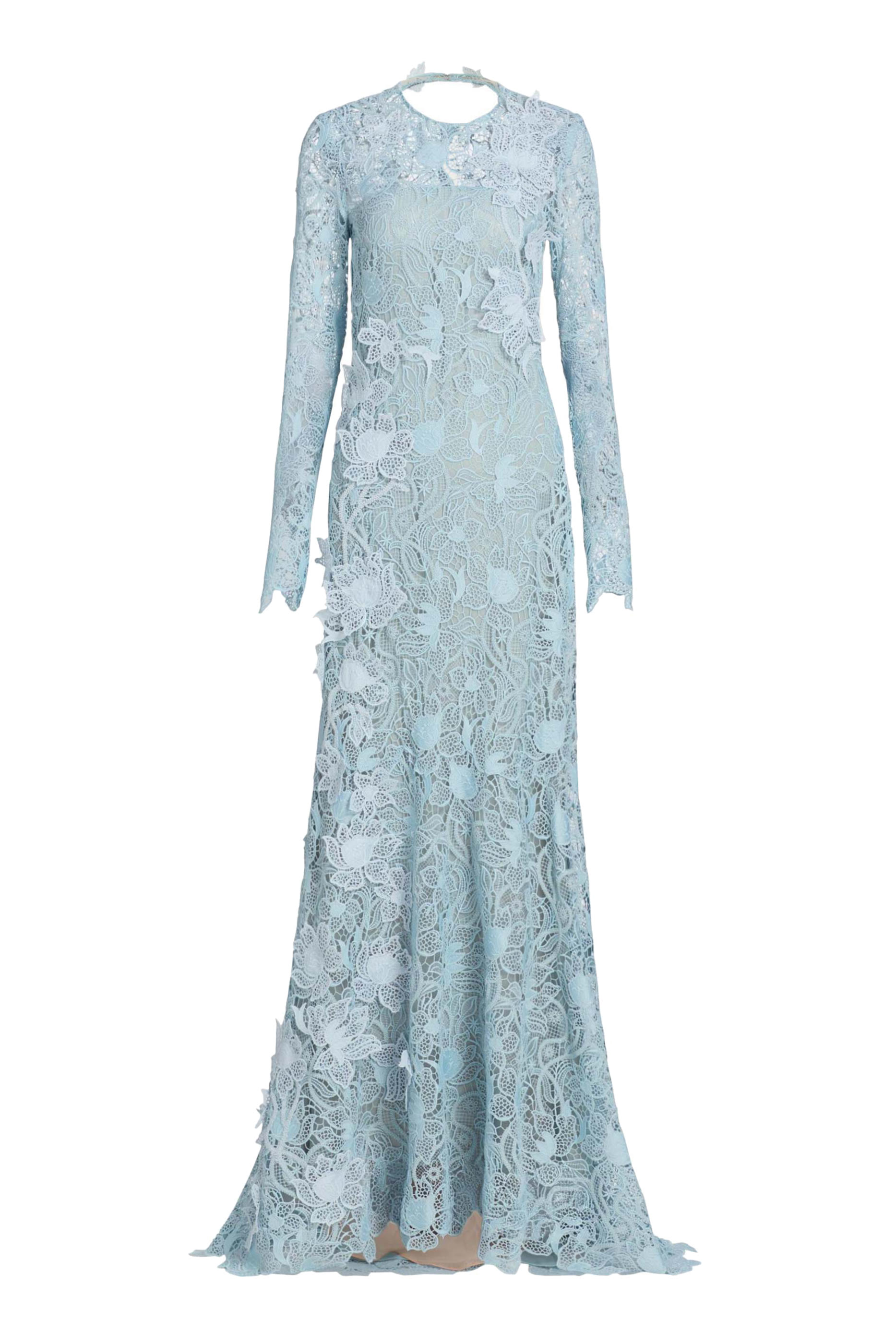 Long Sleeve Corded Botanical Guipure Gown