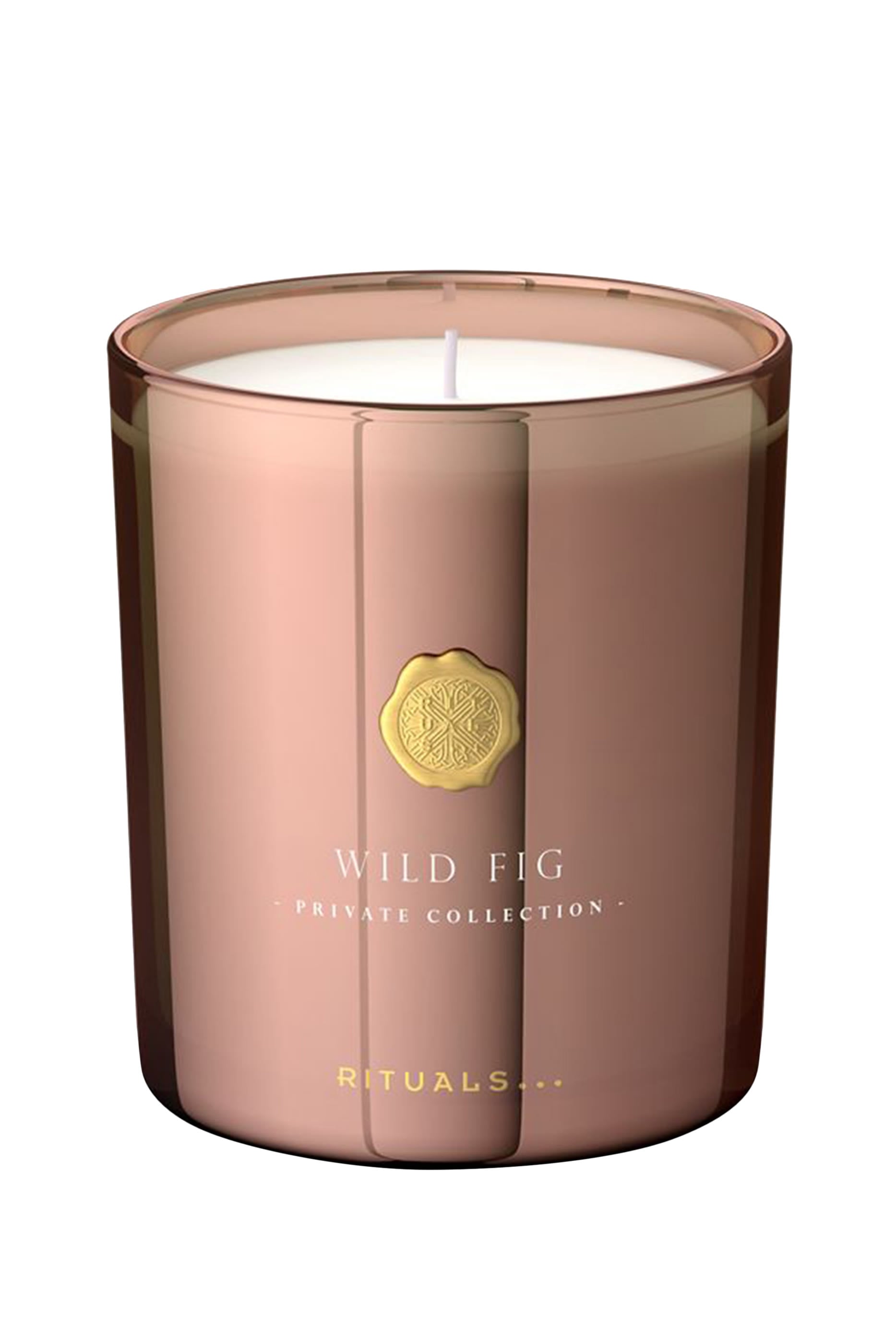 Wild Fig Scented Candle