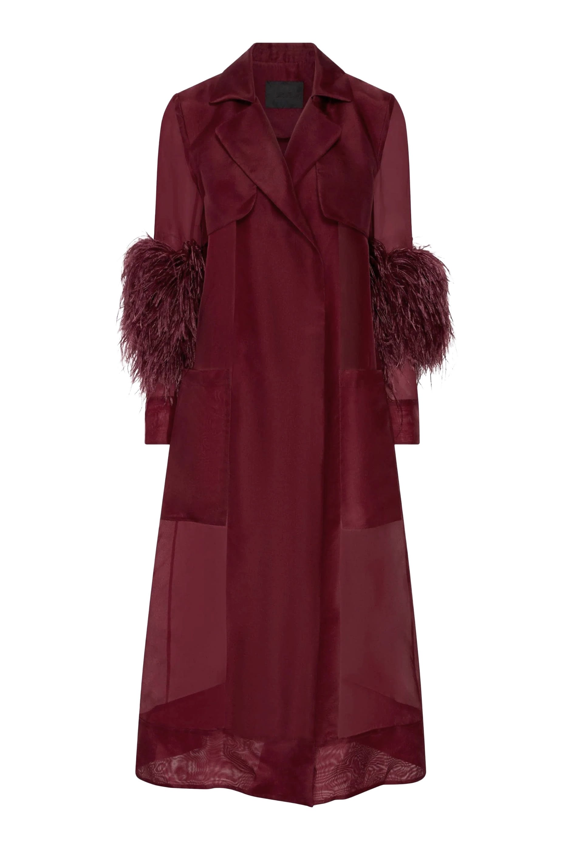 Organza Sheer Duster With Feathers 