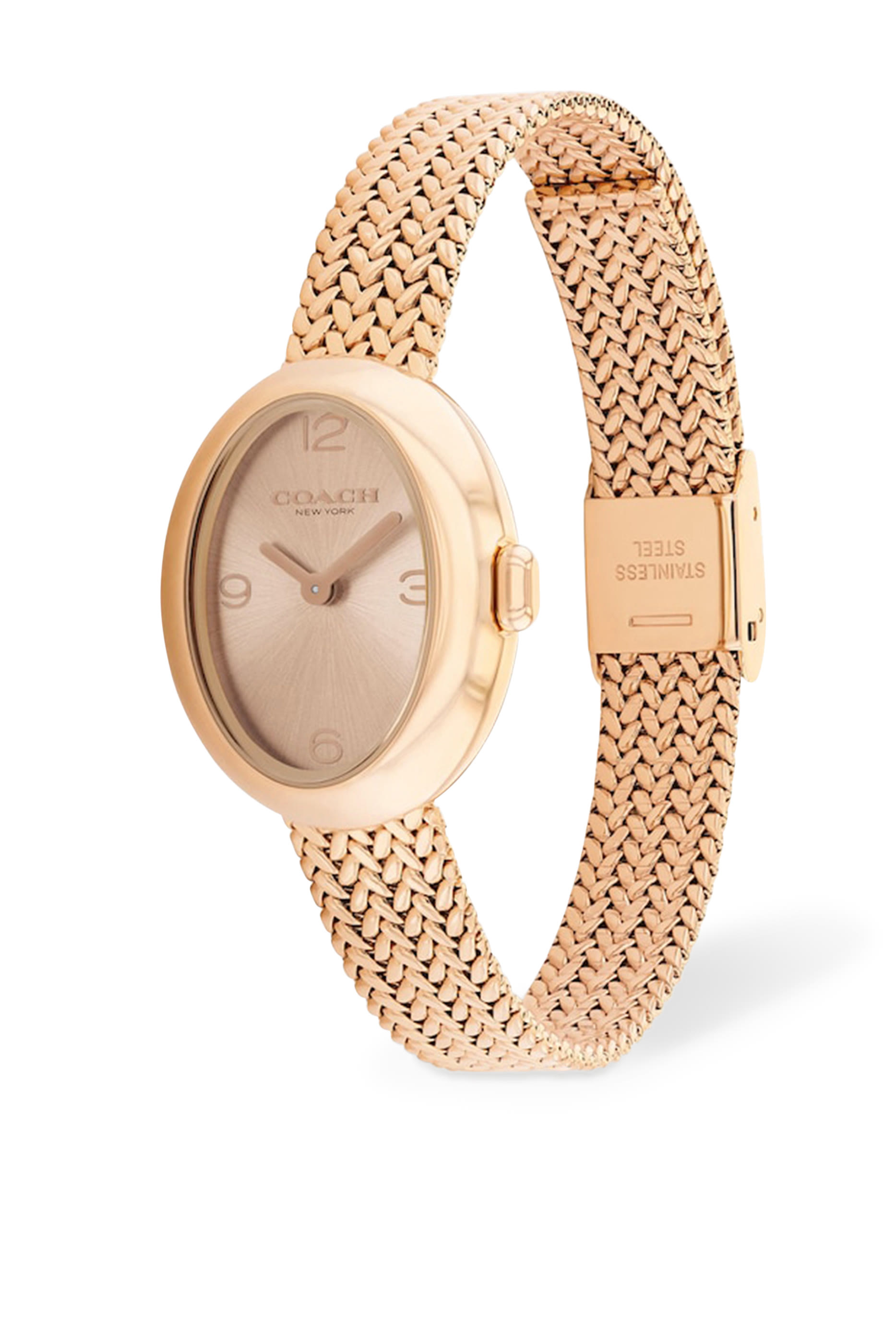 Sammy Stainless Steel Mesh Bracelet Watch