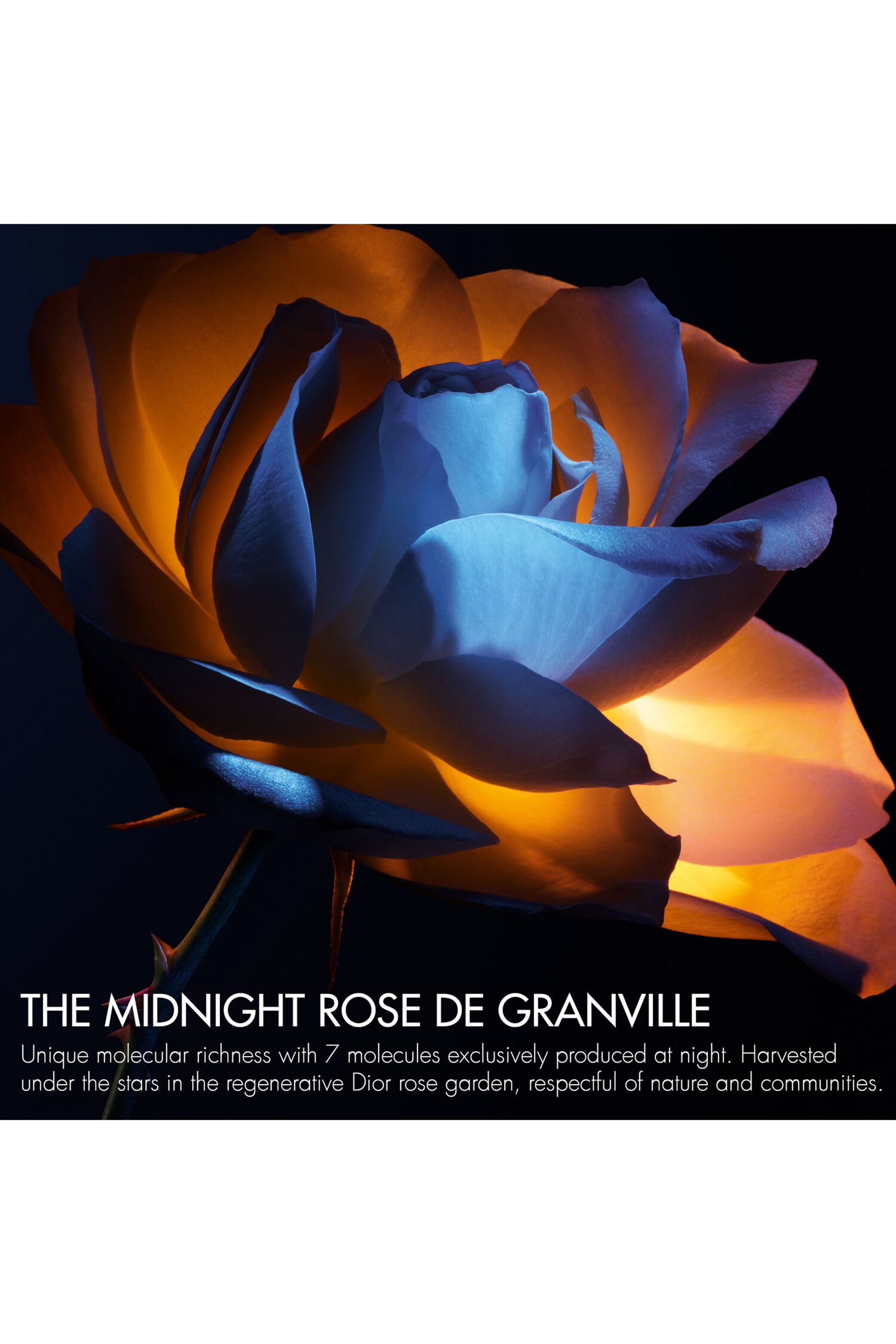 Prestige Le Baume de Minuit Night Cream