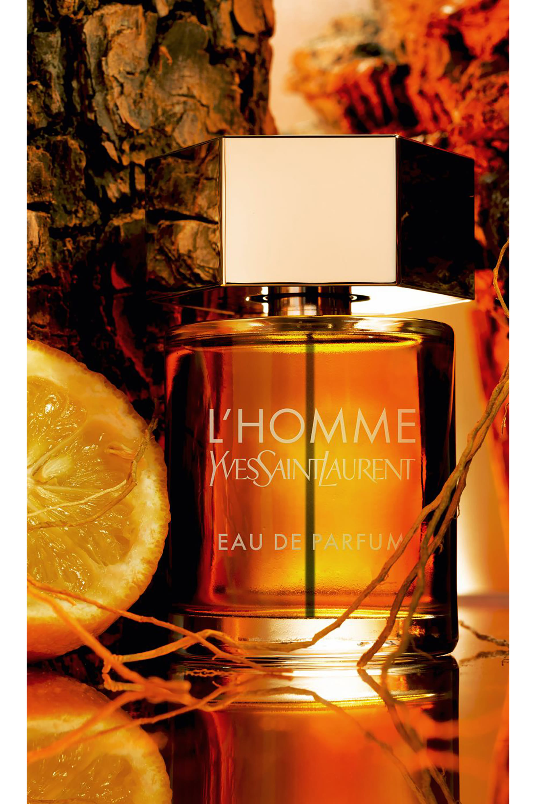 L’Homme Eau De Parfum