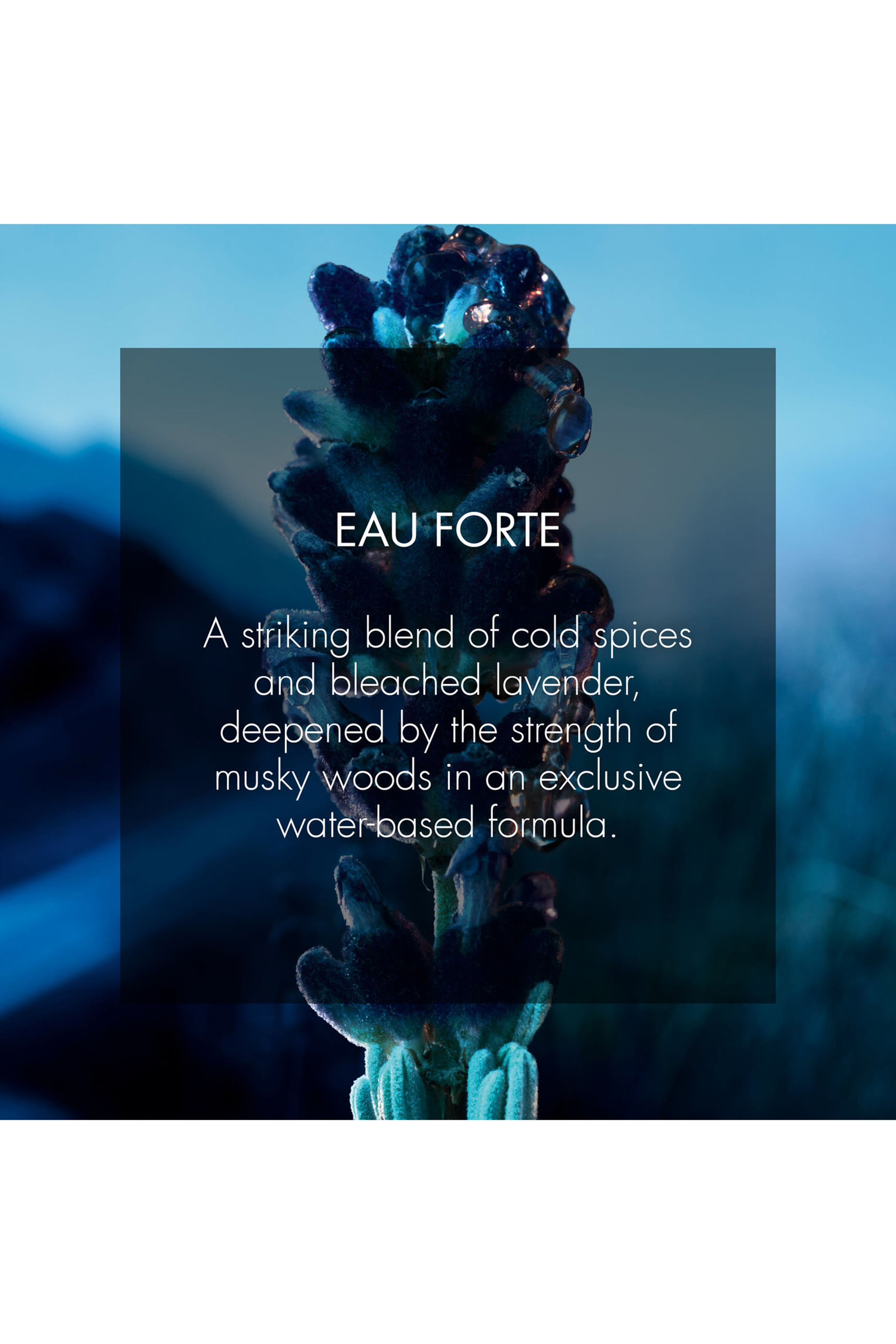 Sauvage Eau Forte