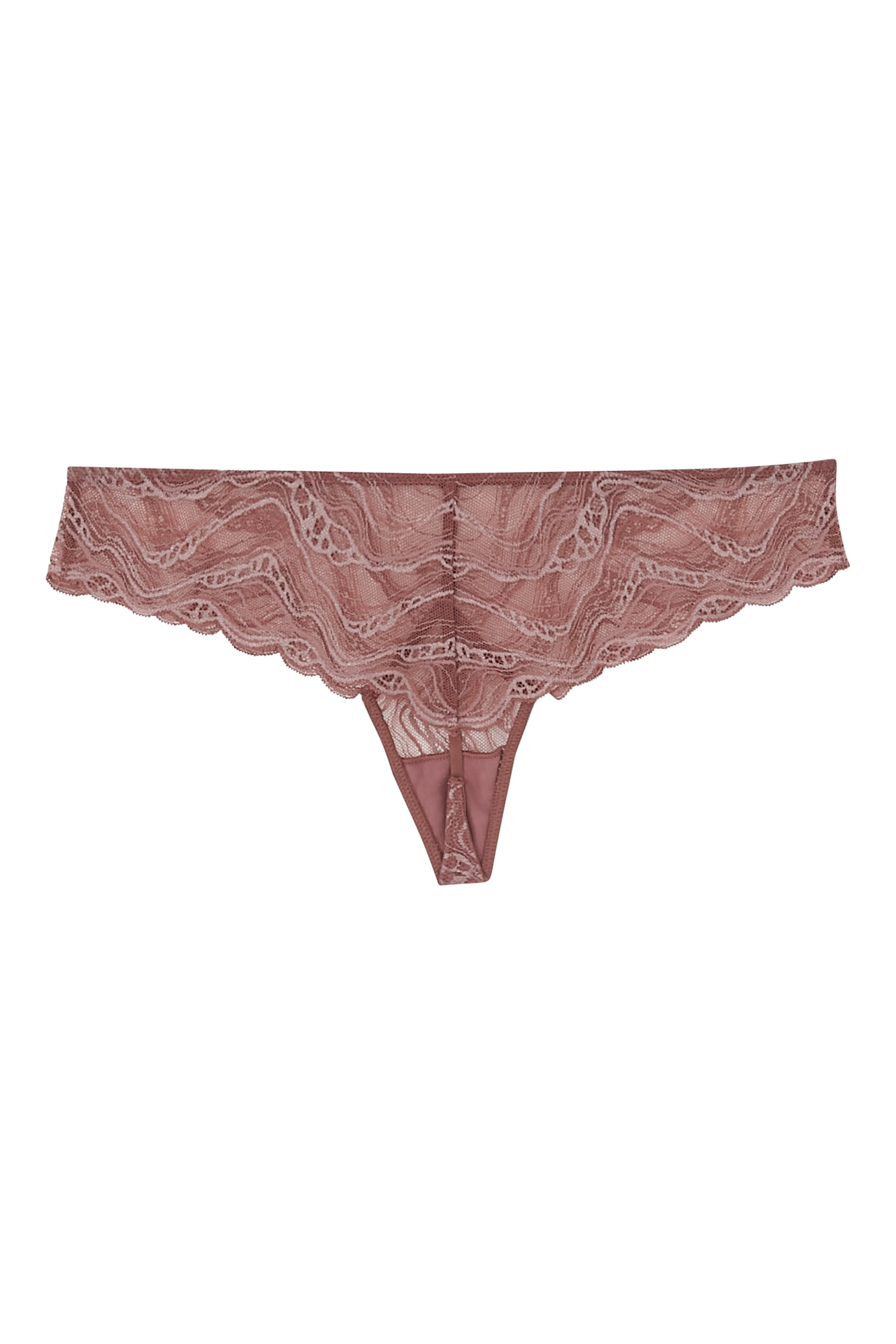 Sheer Lace Brazilian Briefs