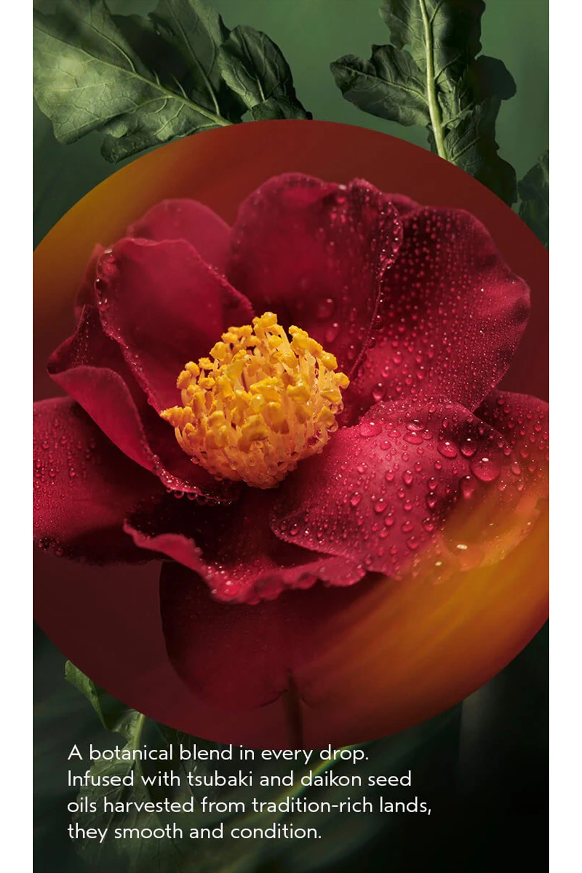 Miraculous Oil High-Shine Hair Concentrate