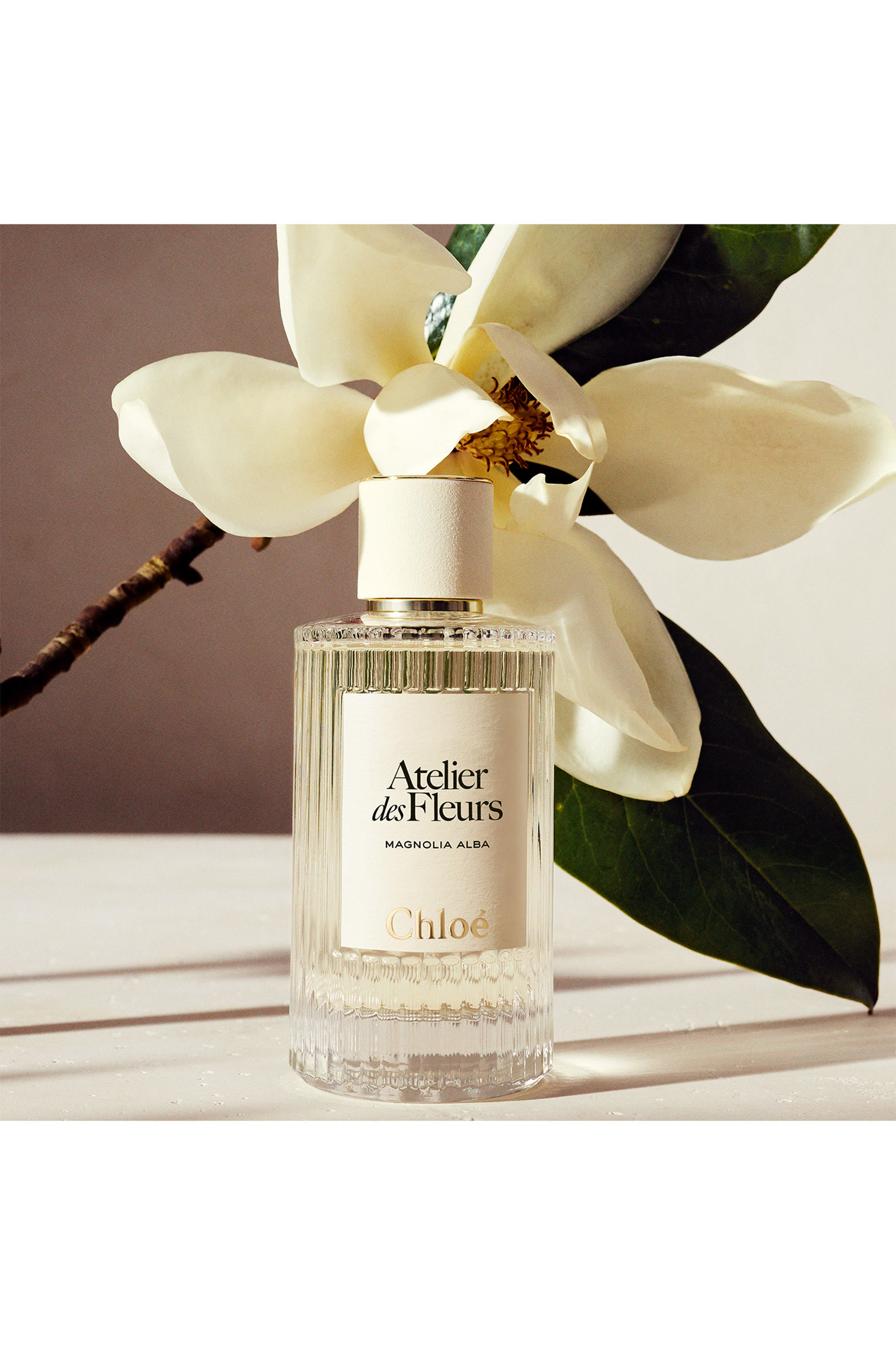 Atelier des Fleurs Magnolia Alba Perfumed Hand Cream