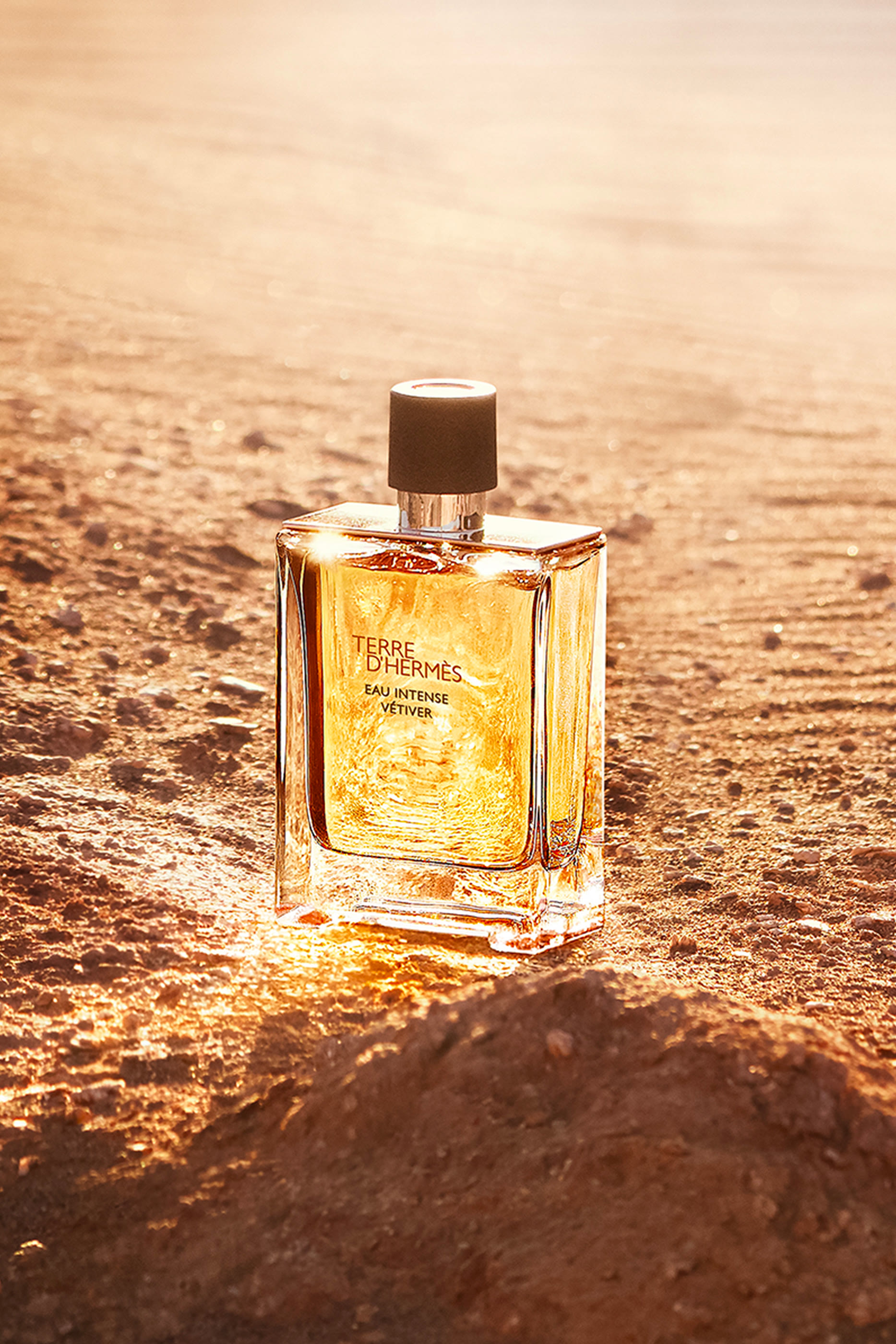 Terre d'Hermès Eau Intense Vétiver, Eau de parfum