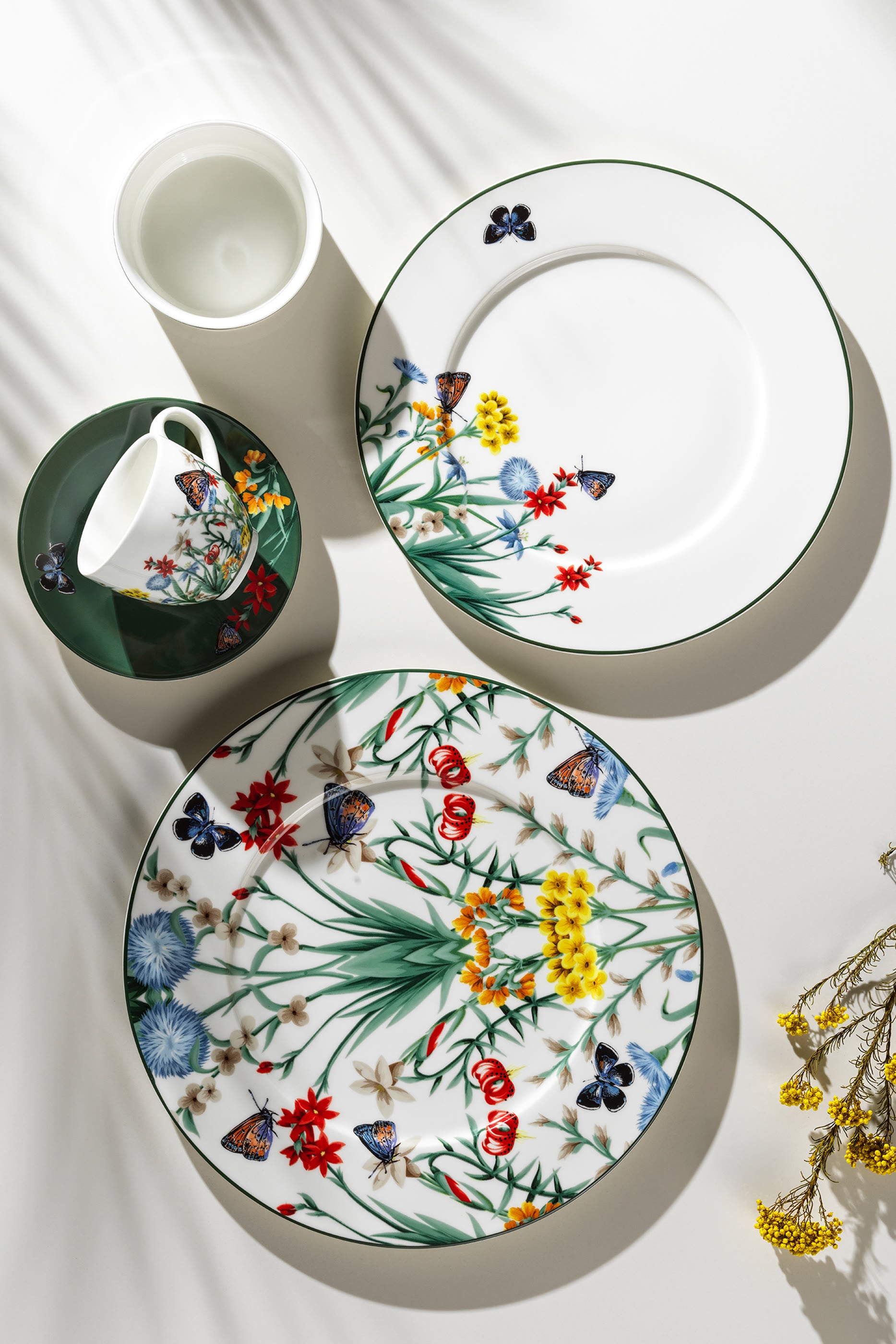 Jardin De Papillons Dinner Plate 