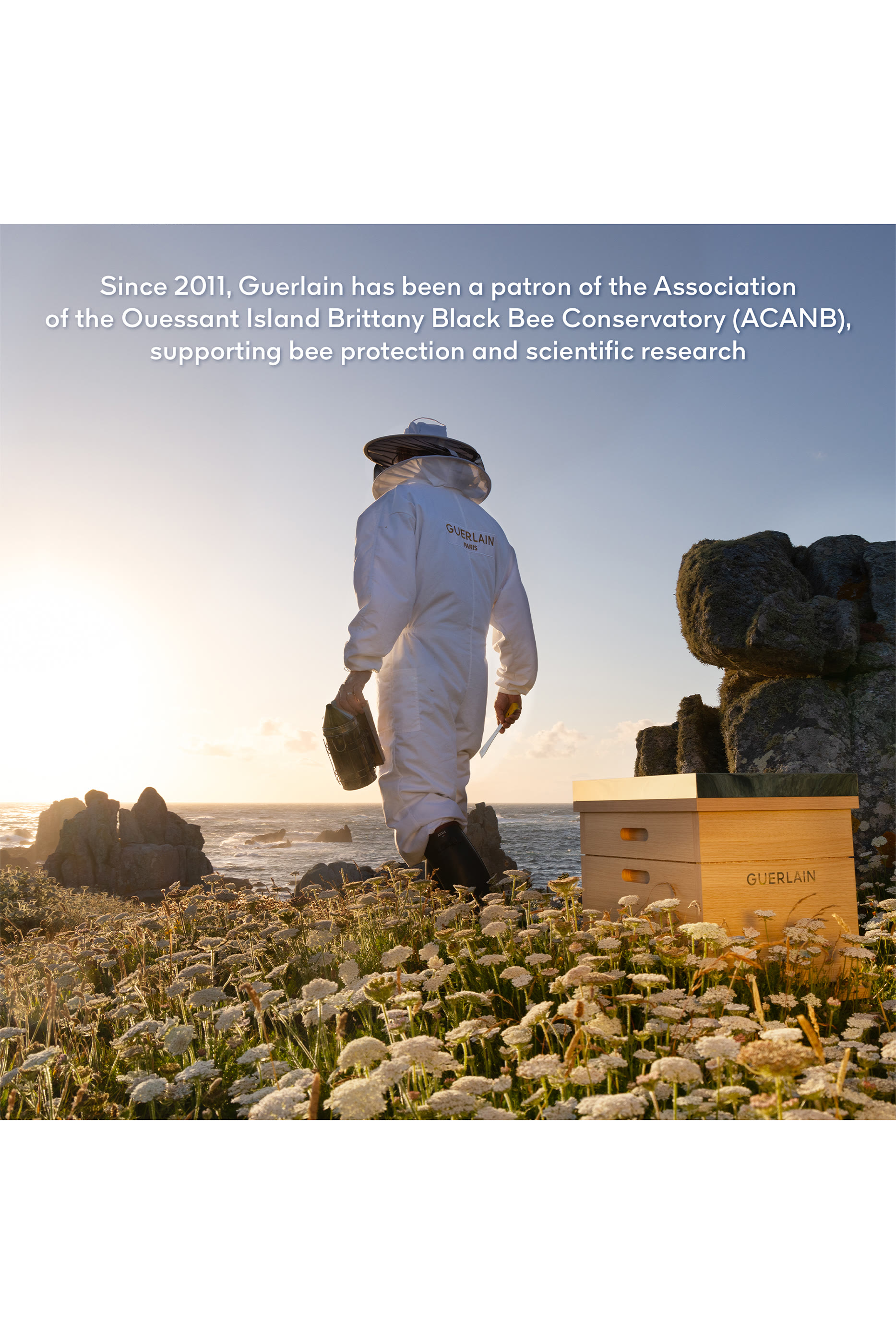 Abeille Royale Youth Watery Oil Serum