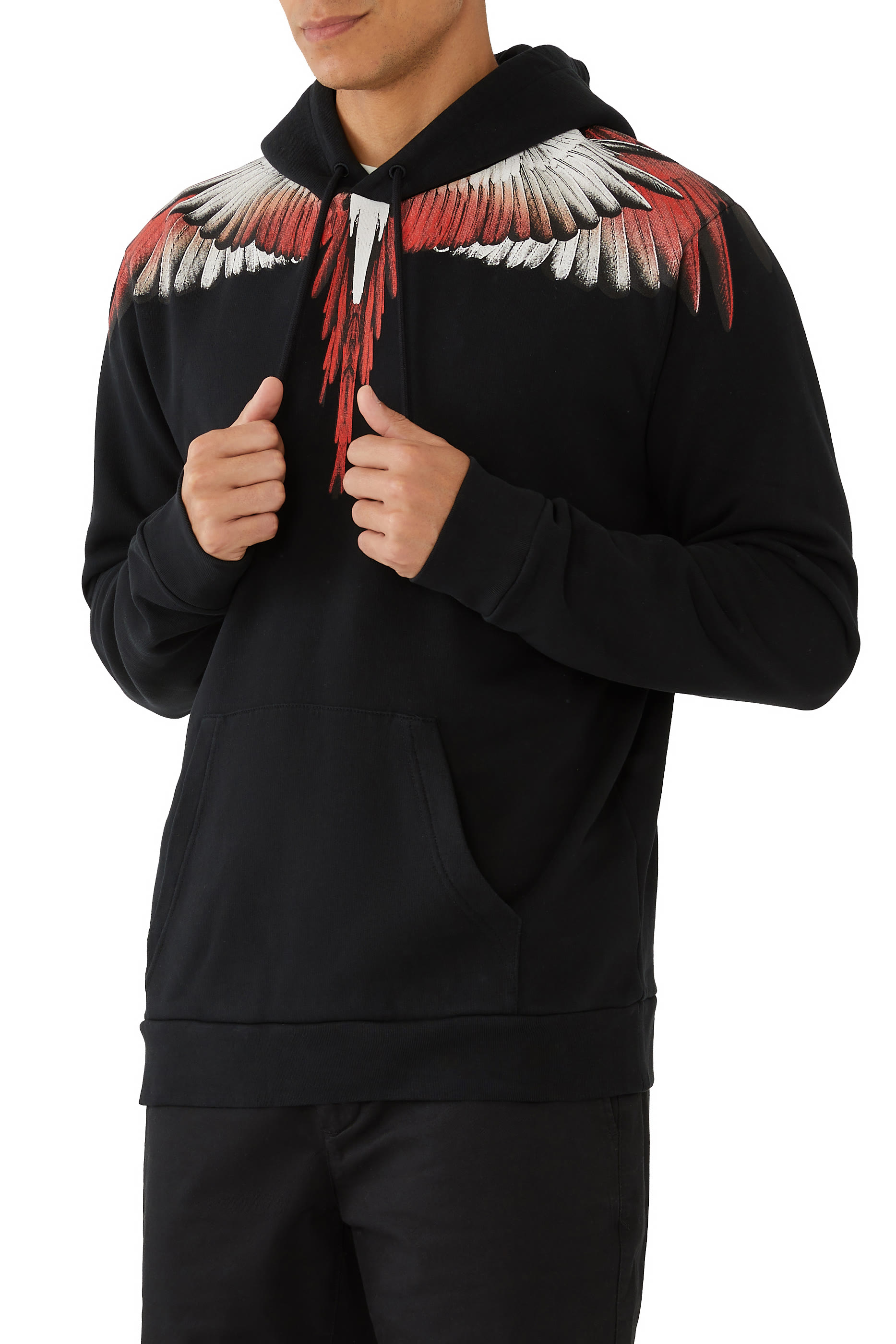 Icon Wings Hoodie