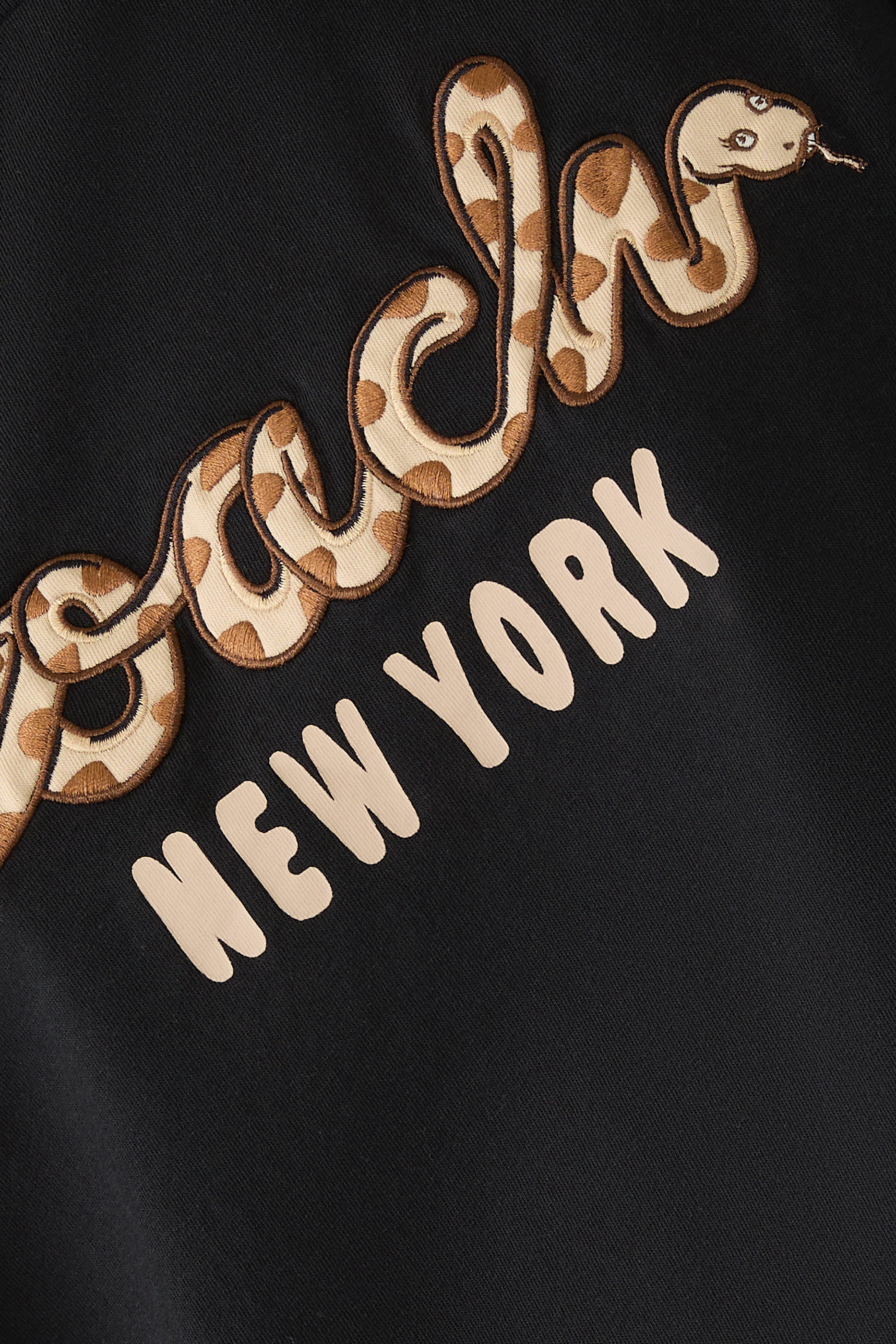 New Year Snake Script Crop T-Shirt