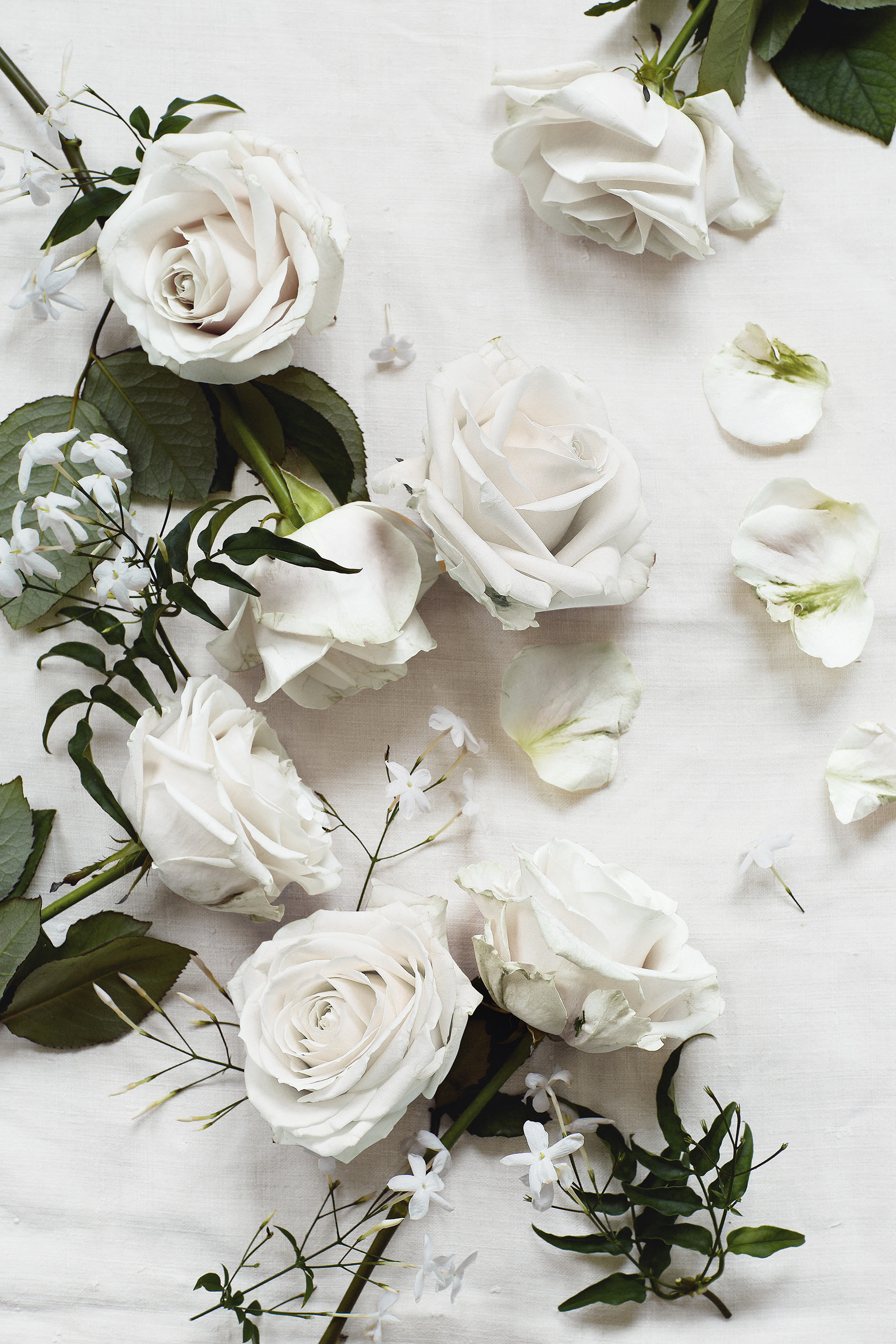 Flowers Hand & Nail Gift Set