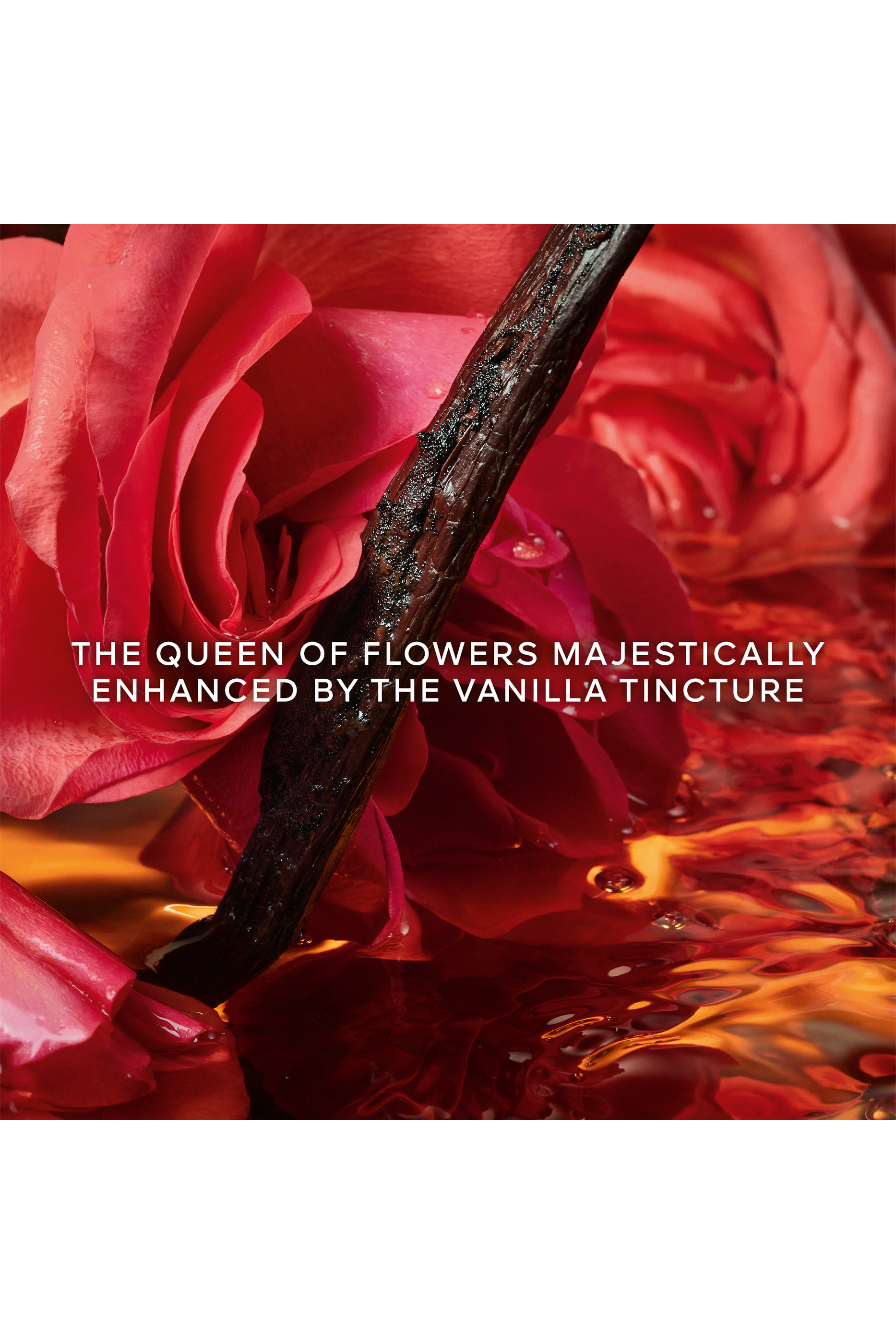  Shalimar Mill&eacute;sime Rose Eau de Parfum