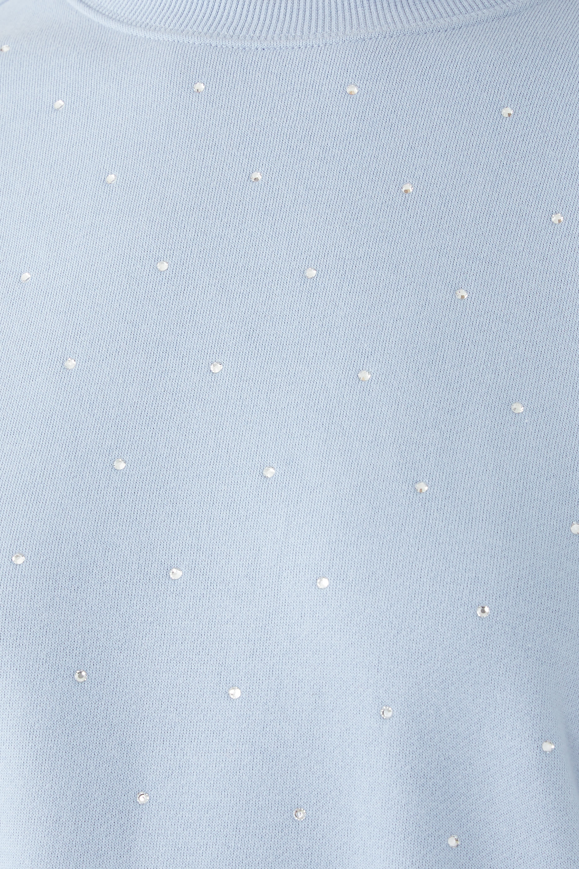 Crystal Crewneck Sweatshirt