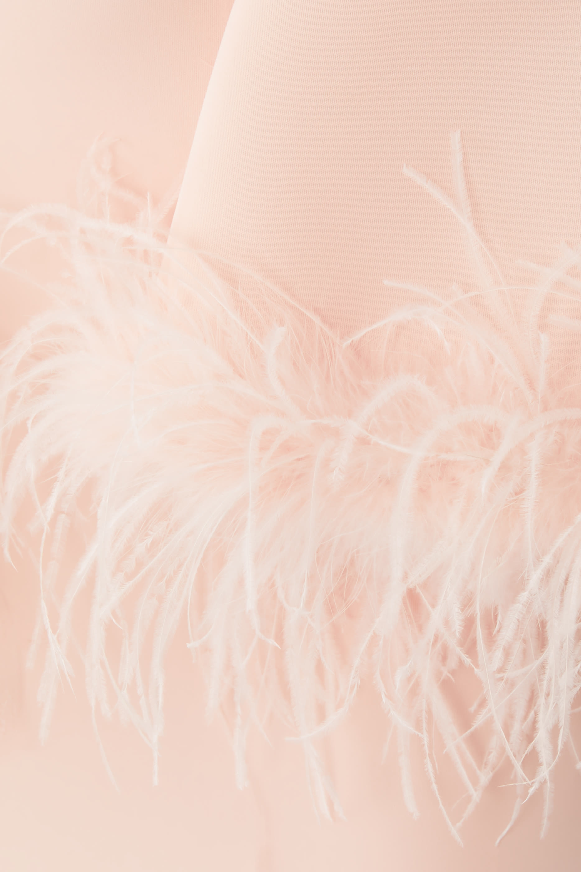 Feather Trim Bell Sleeve Evening Gown