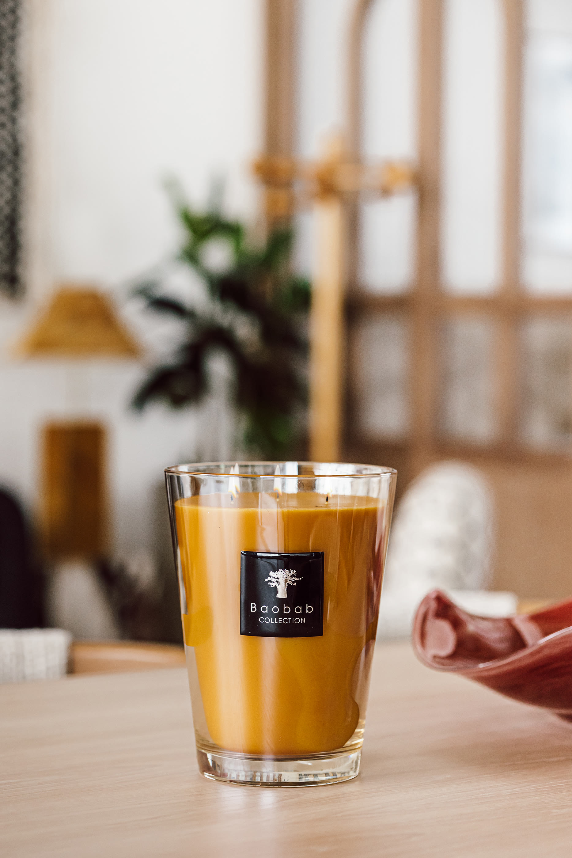 Max 24 Zanzibar Spices