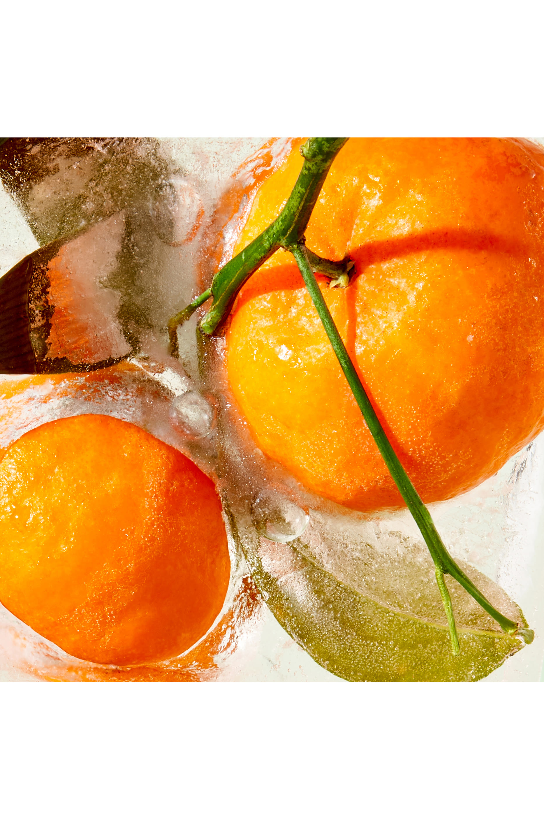 Water-Lock Moisturizer Starter Kit