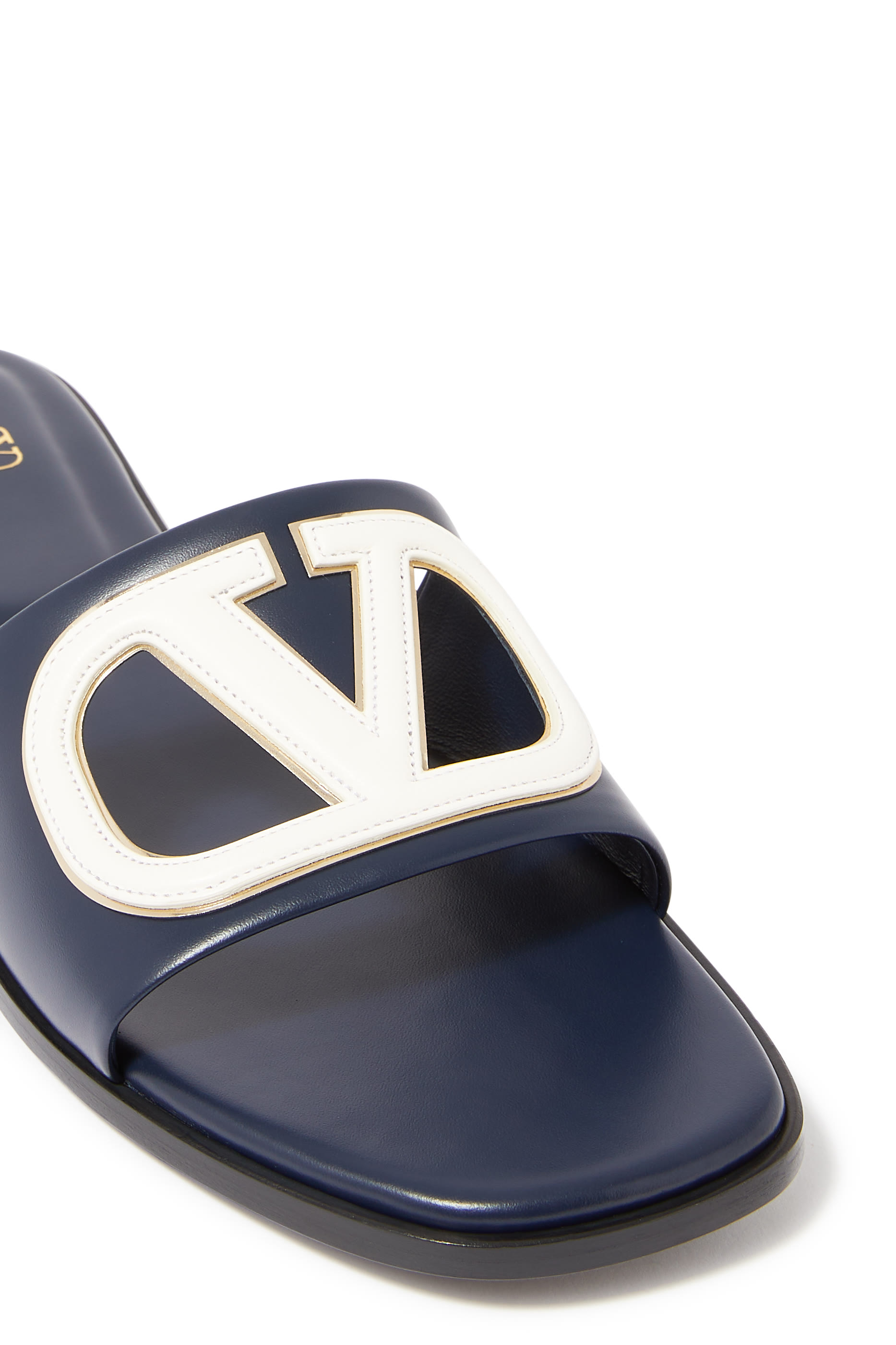 VLogo Cut-Out Slides