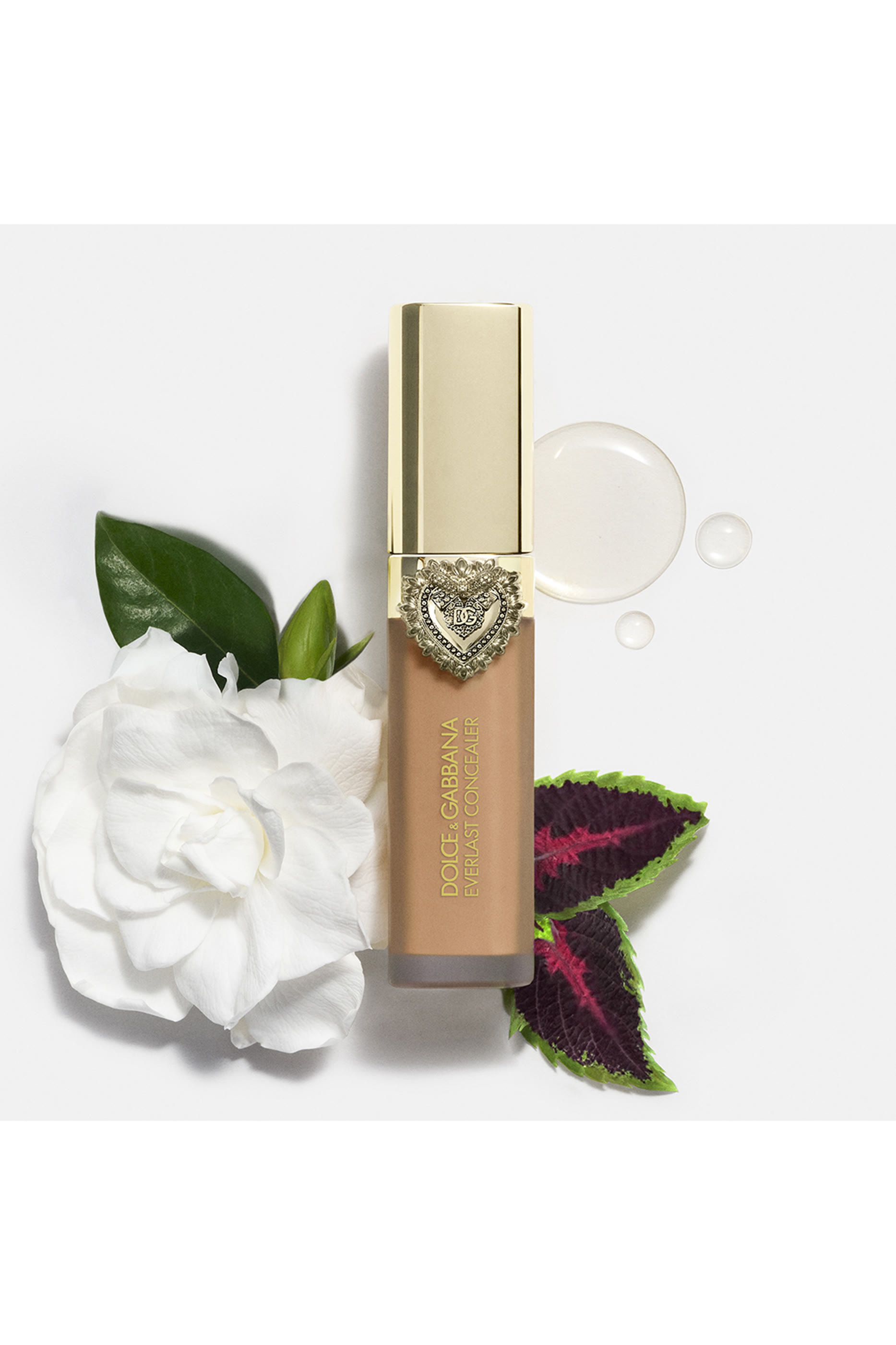 Everlast Concealer