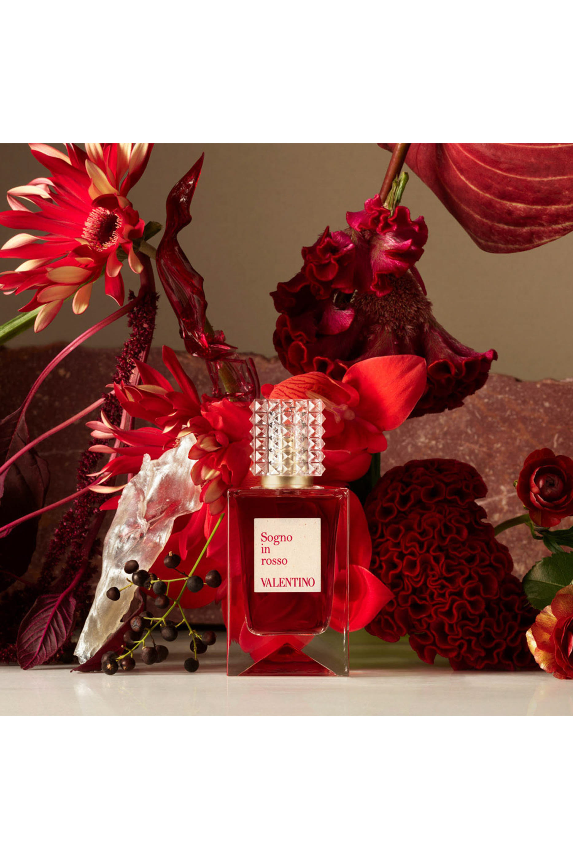 Anatomy of Dreams - Sogno In Rosso Parfum