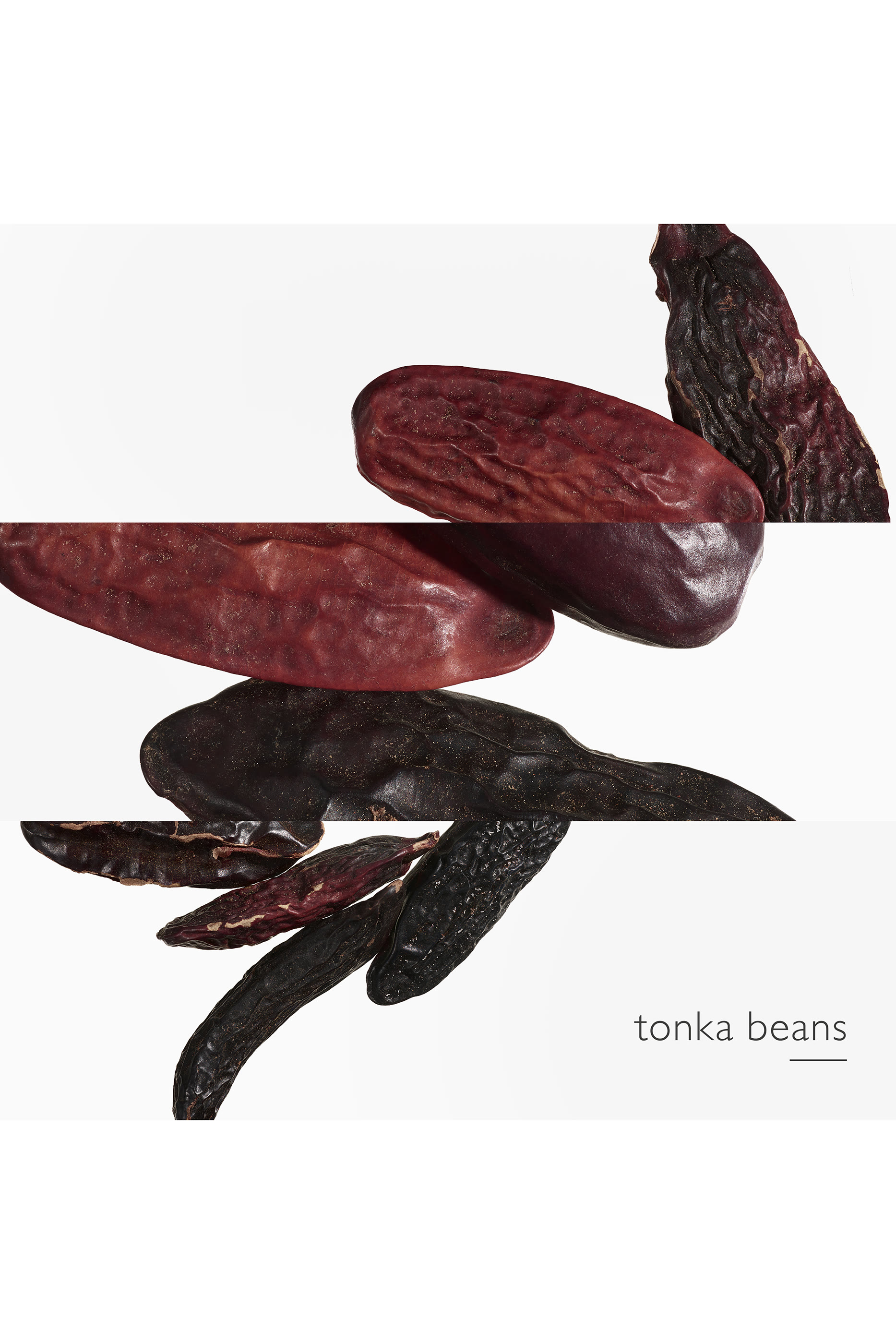 L'Ombre des Merveilles, Eau de parfum