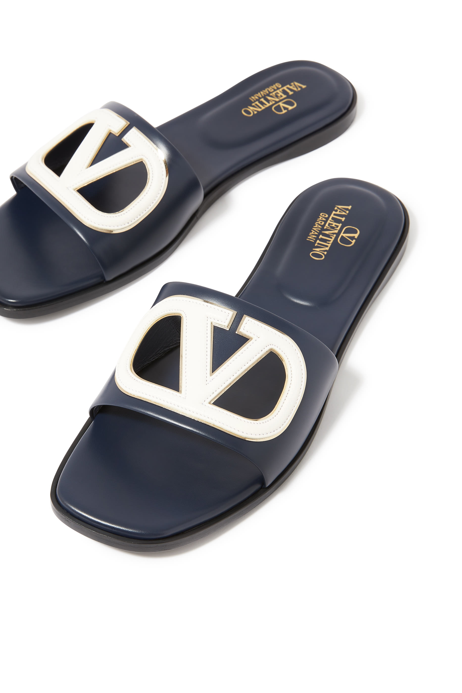 VLogo Cut-Out Slides