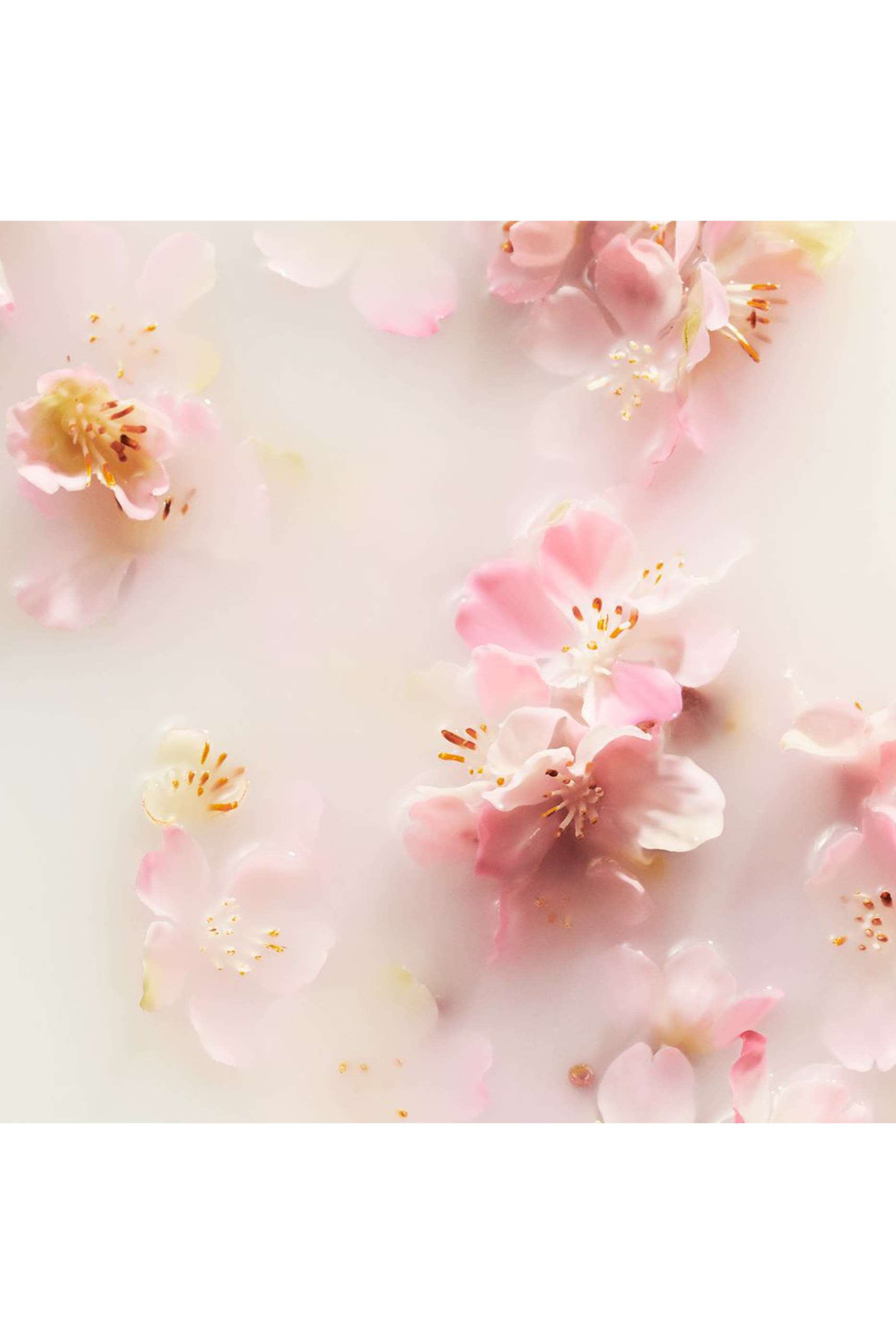 The Ritual of Ayurveda 24h Hydrating Body Lotion