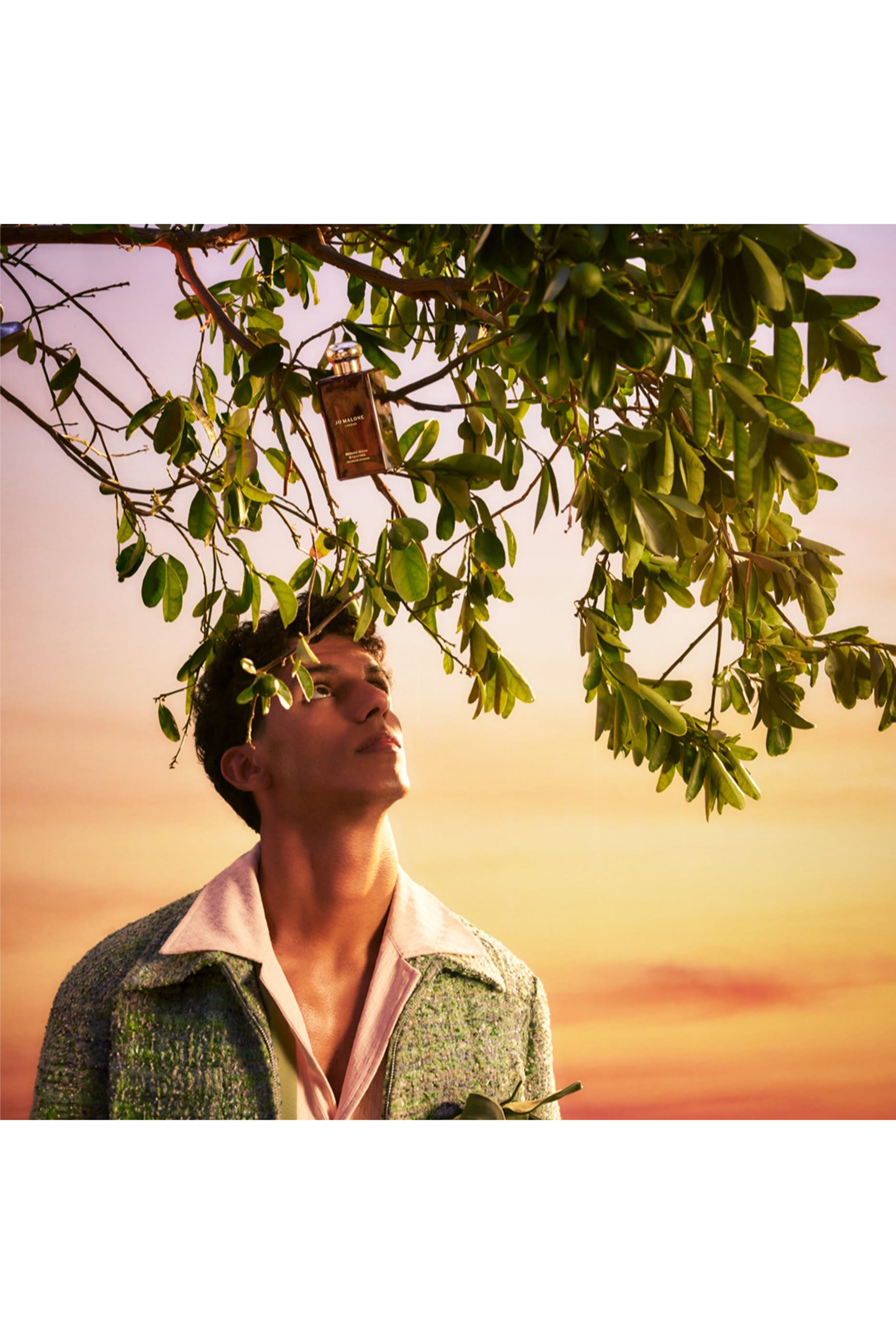 Bronze Wood & Leather Cologne Intense