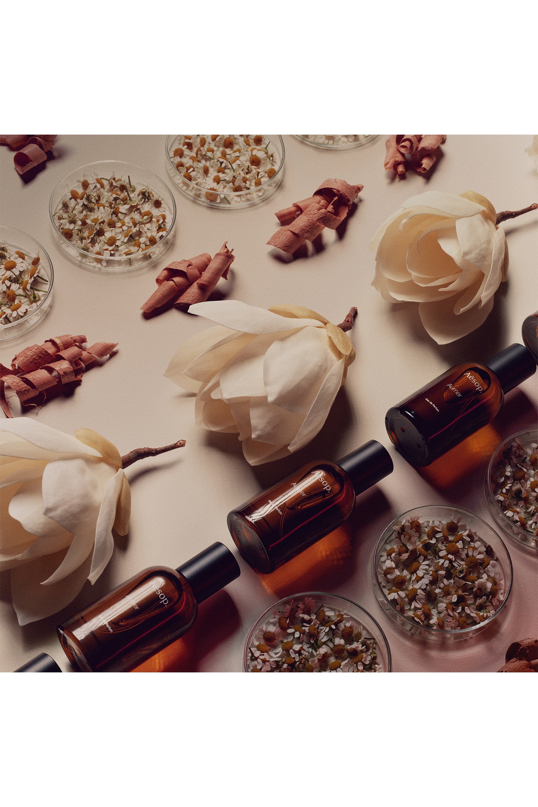   Aurner Eau de Parfum