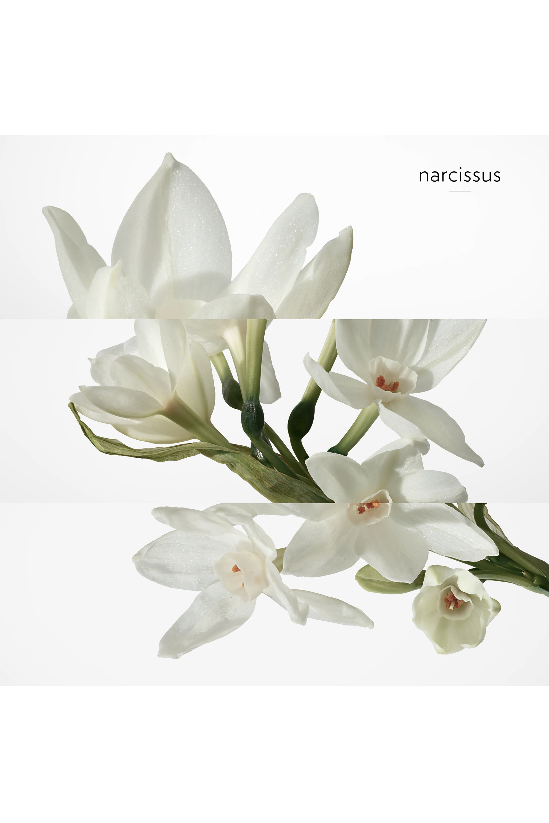 H24, Eau de Toilette