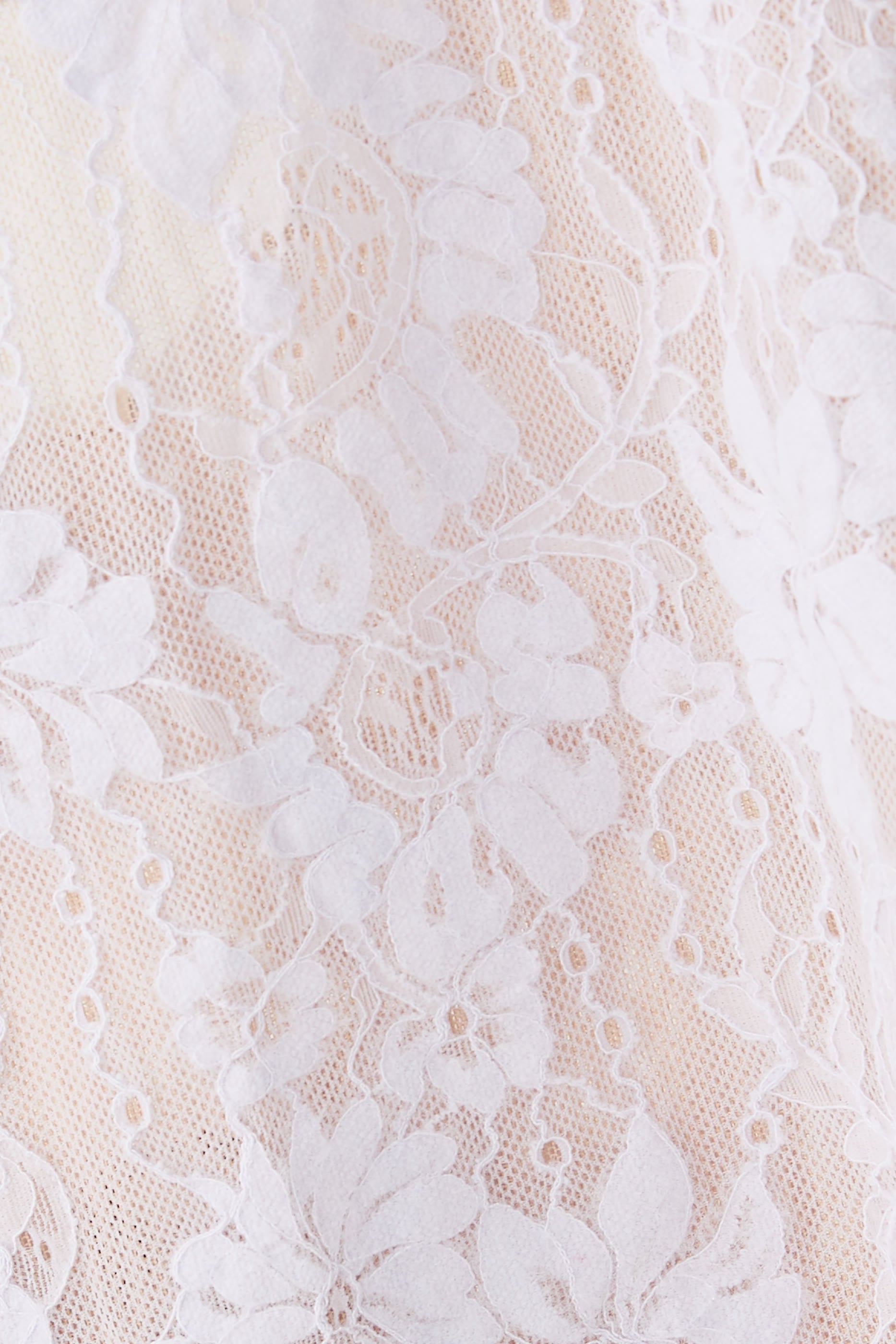 Lace Scoop Bodysuit
