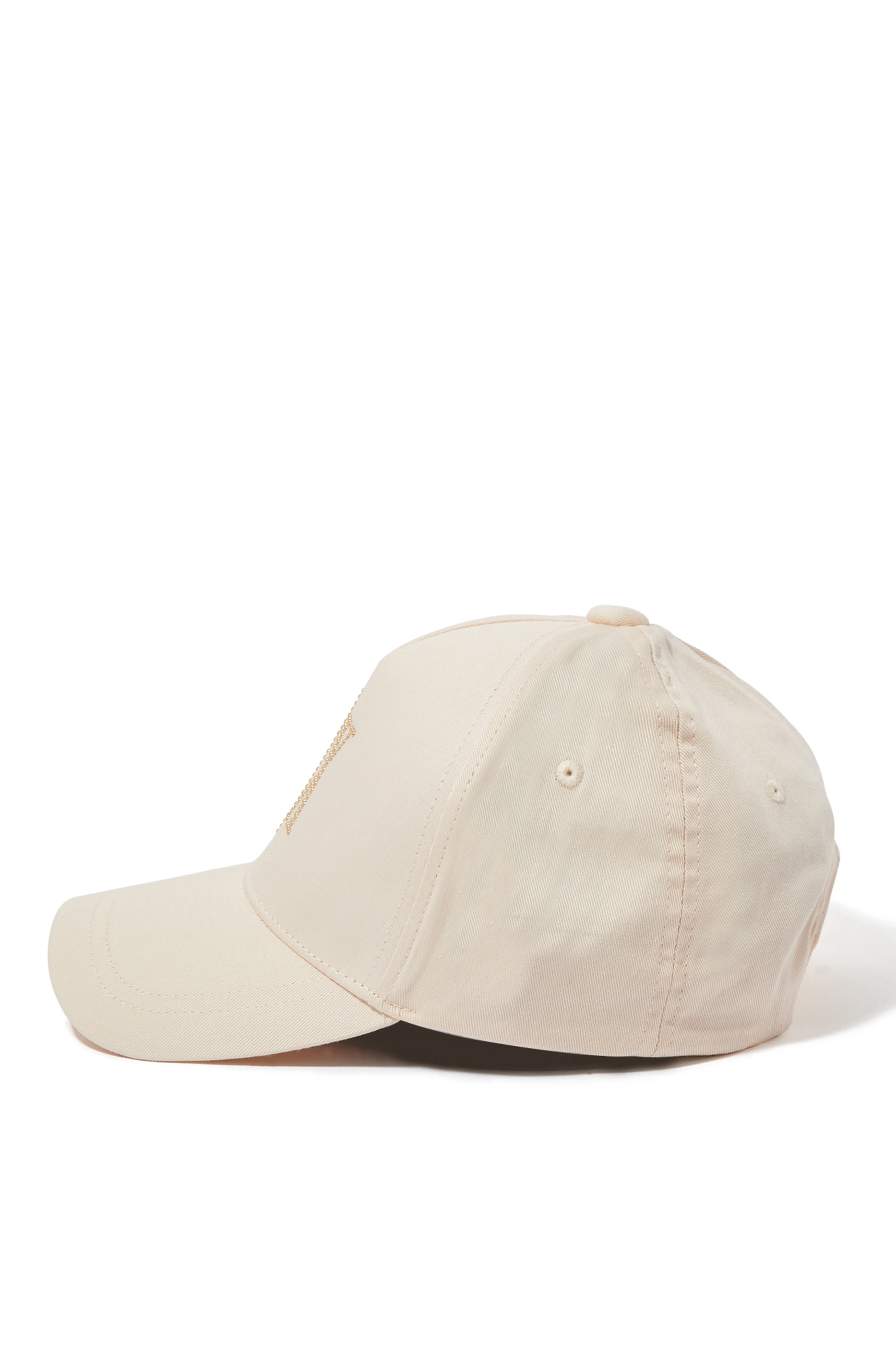 Icon Project AX Logo Cap