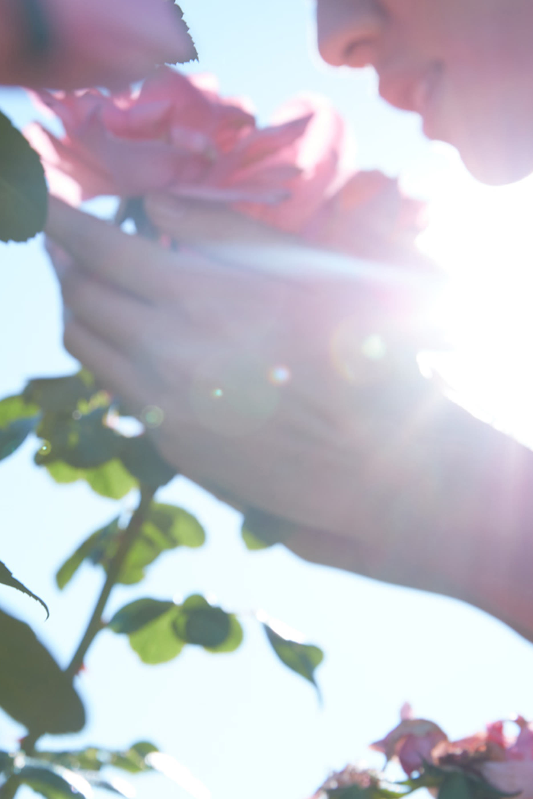 Replica Springtime In A Park Candle