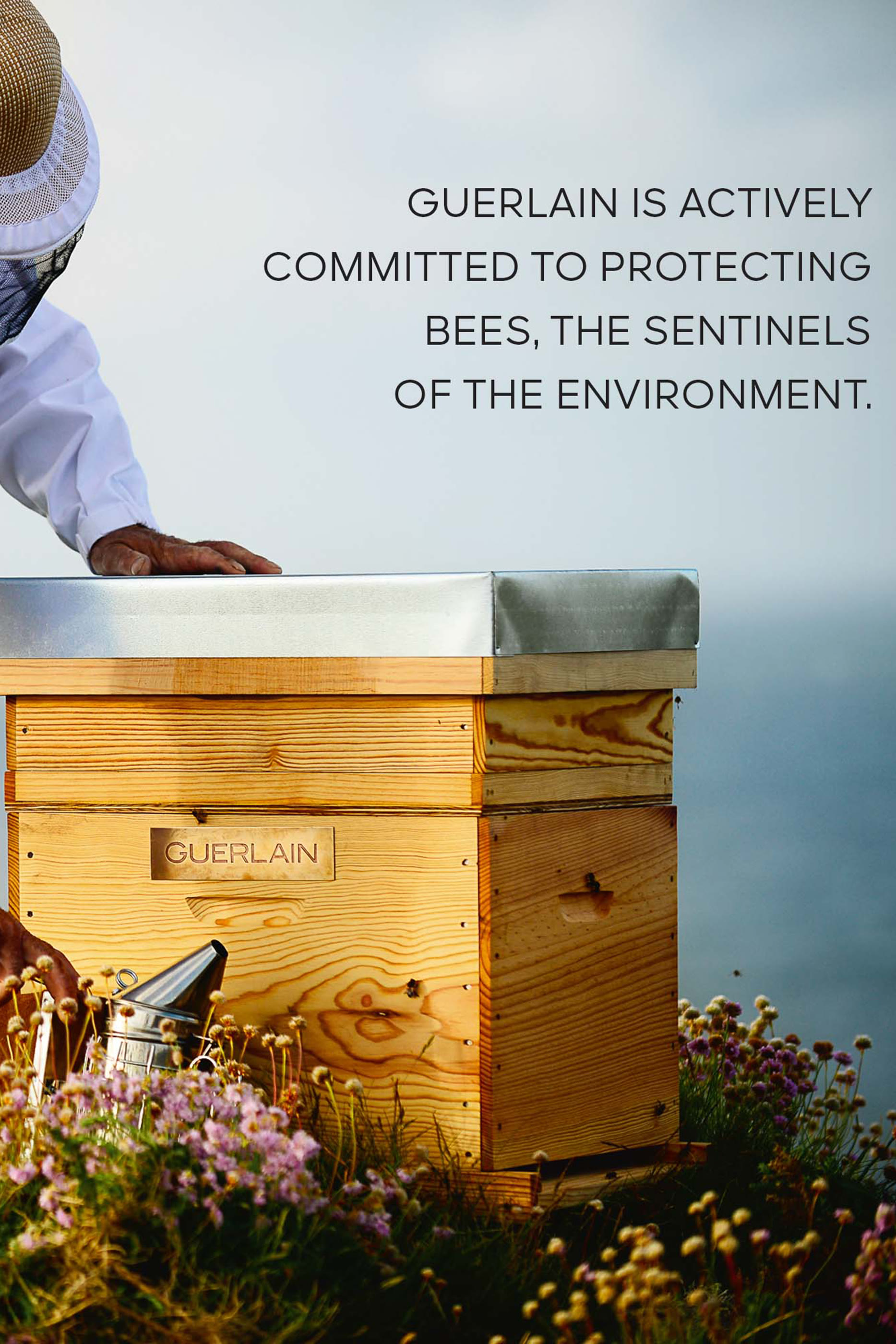 Abeille Royal Normal Combination Matifying Day Cream